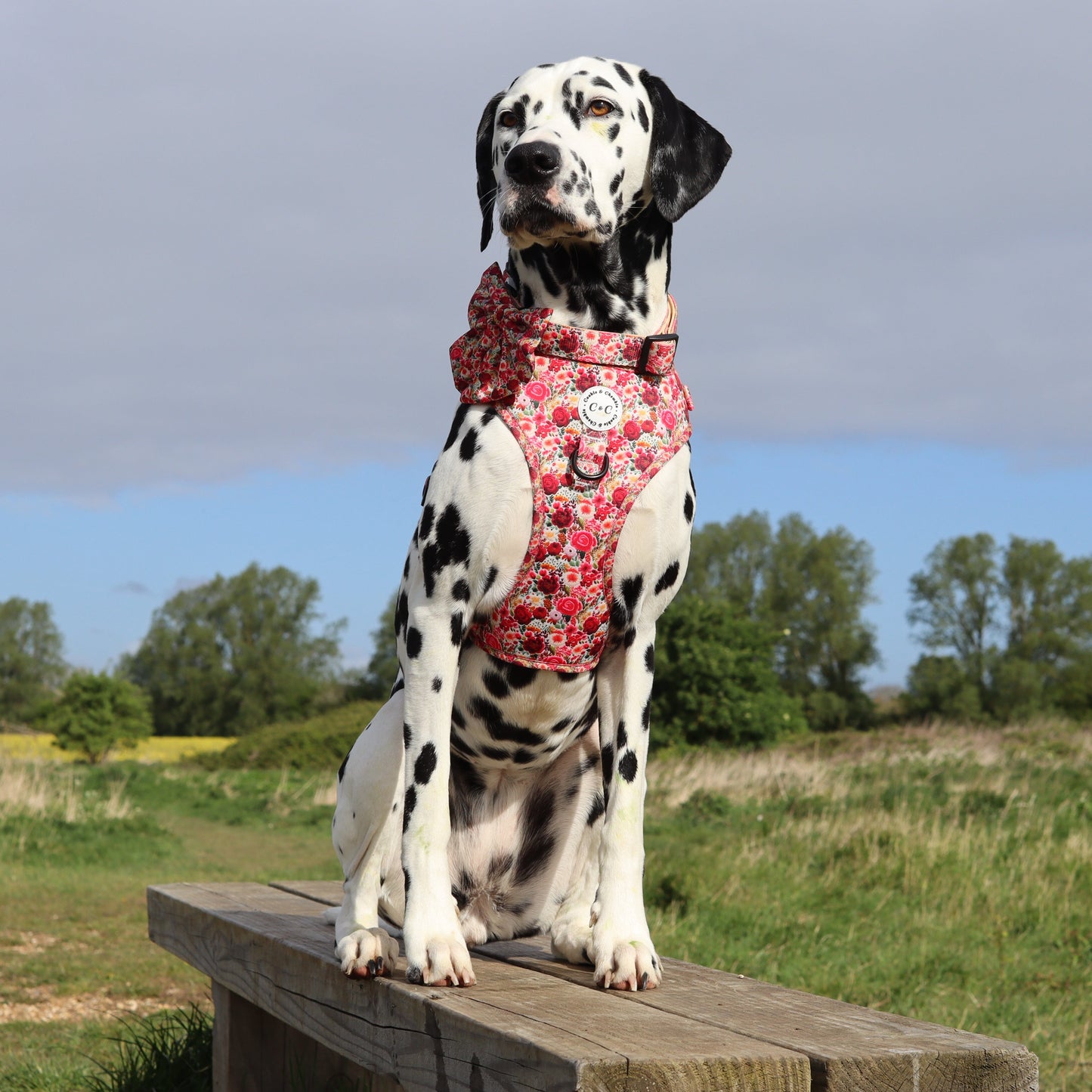 Adjustable Harness - 'Meet Me At Monet's'
