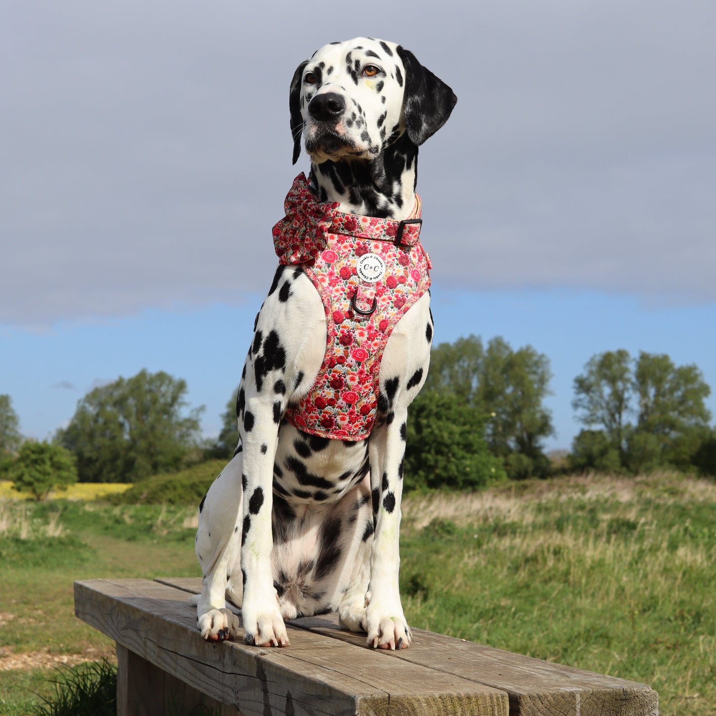 Collar - 'Meet Me At Monet's'