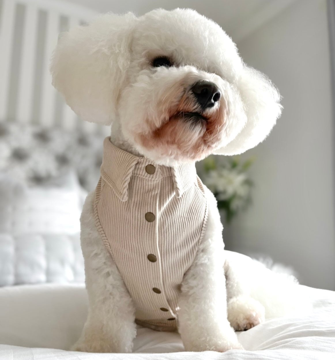 CLASSIES Corduroy Shirt - January