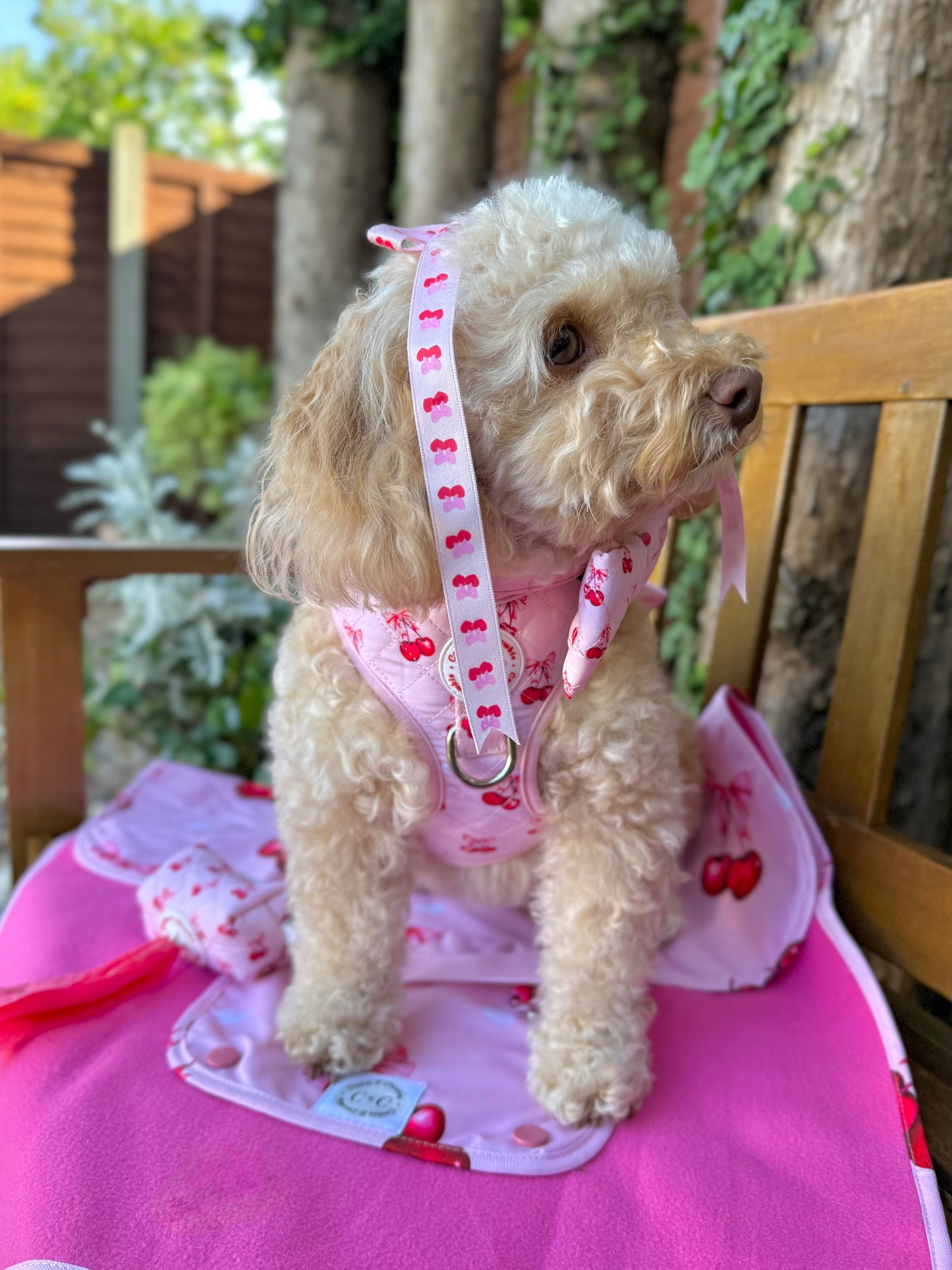 Adjustable Quilted Harness - 'Chérie Amour'