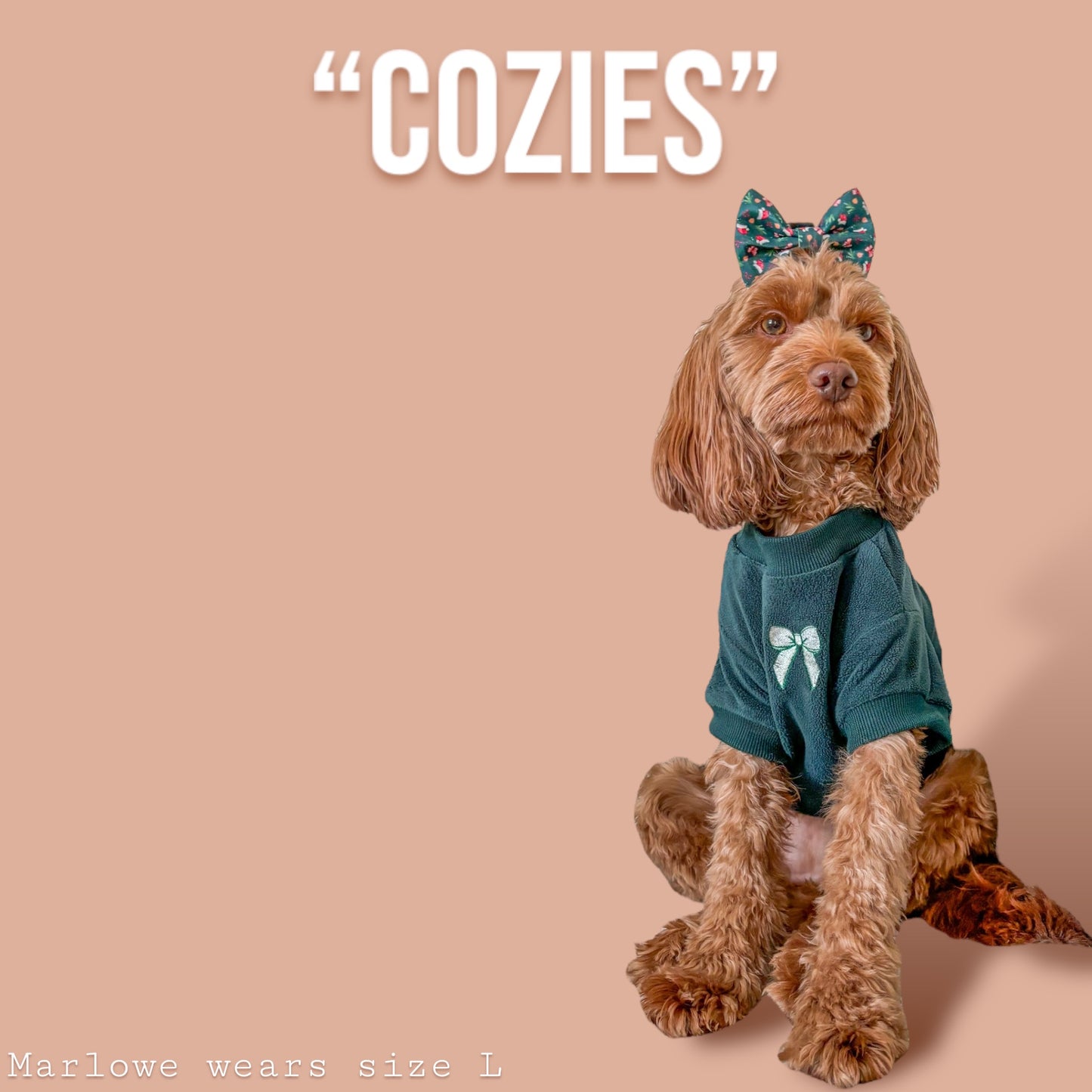 COZIES Fleece Sweatshirt - Dark Green