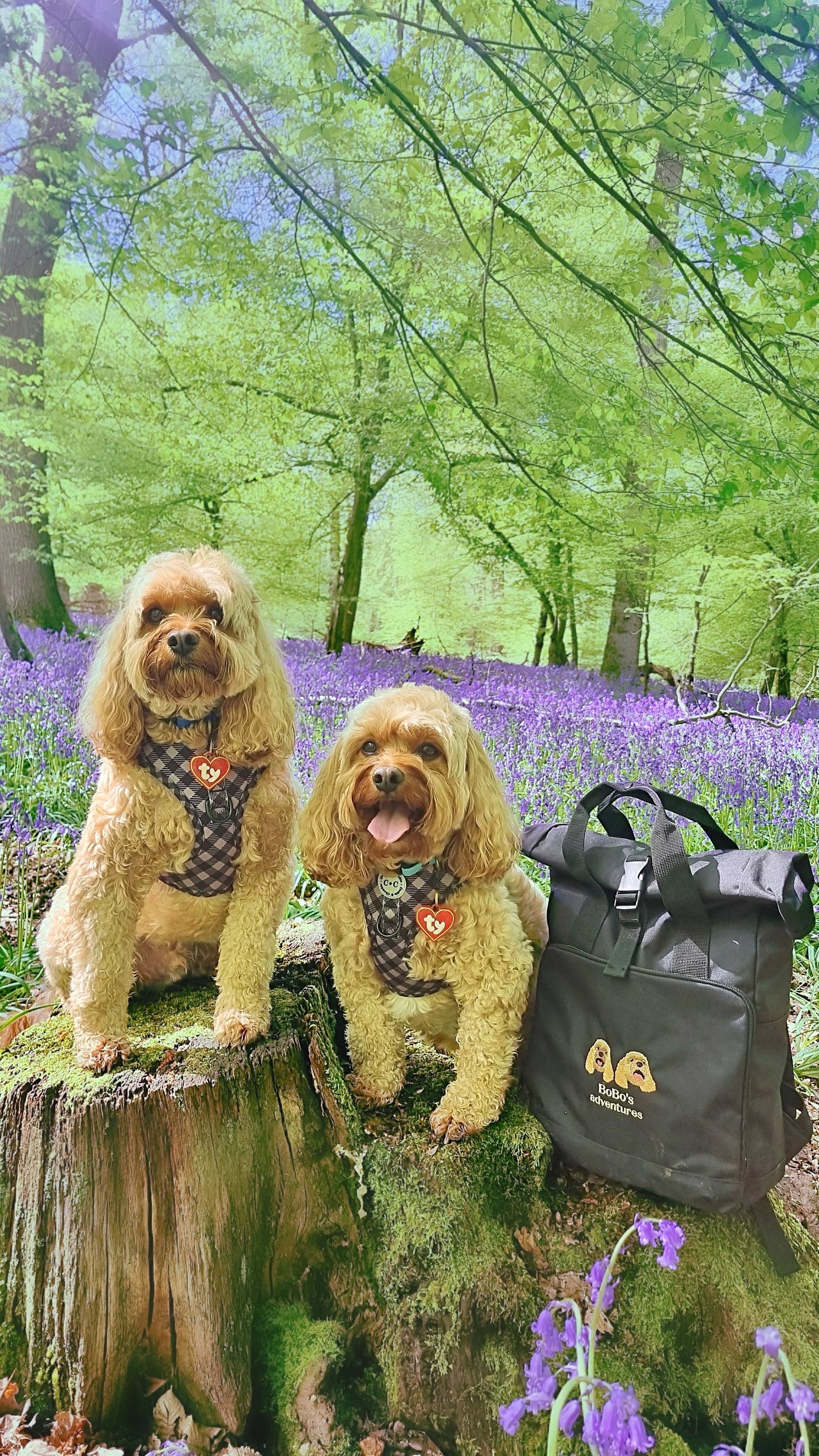 Embroidered Custom Pet Portrait Roll-top Backpack