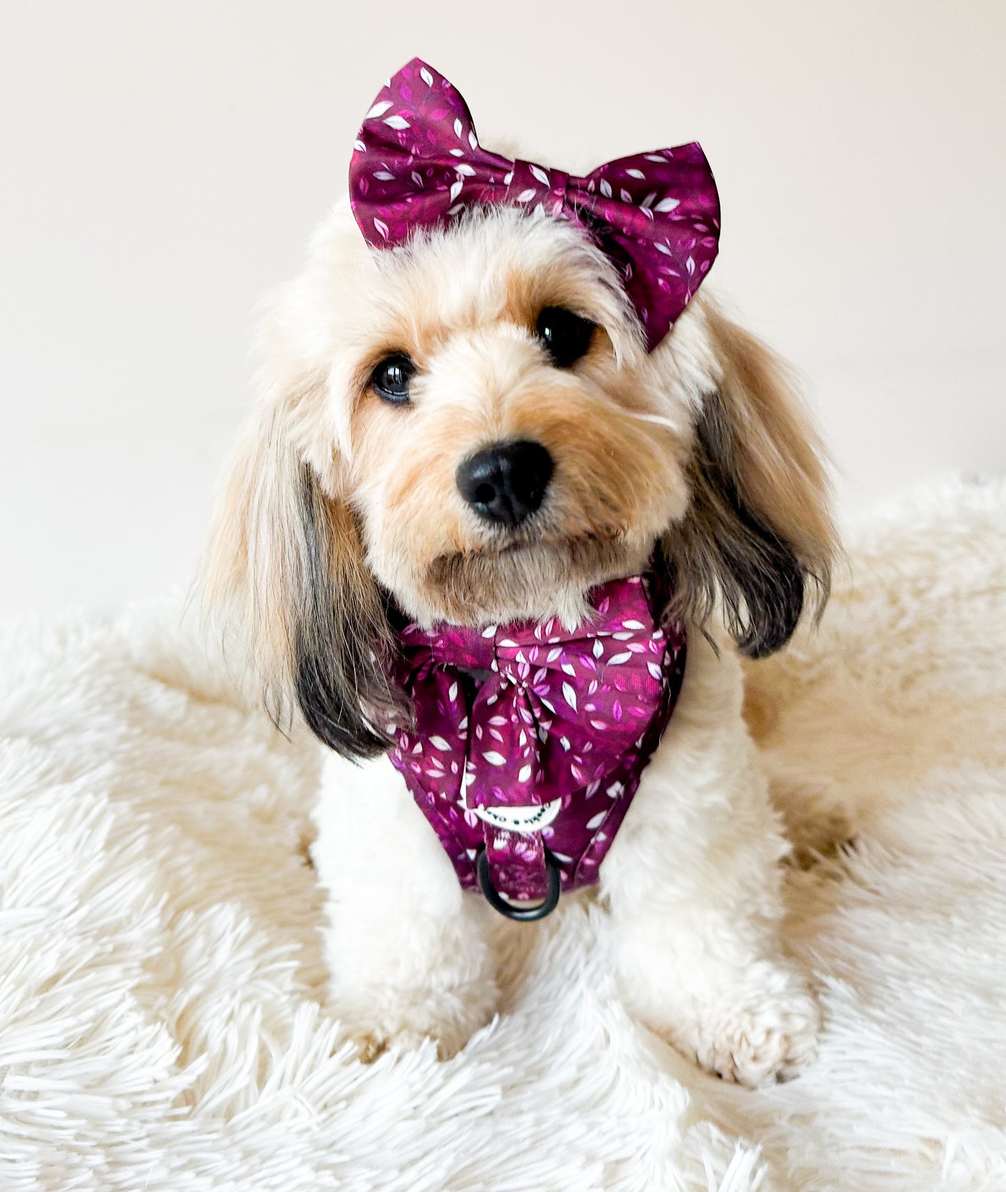 Bow Tie - 'Don't Stop Be-Leafing - Merlot'