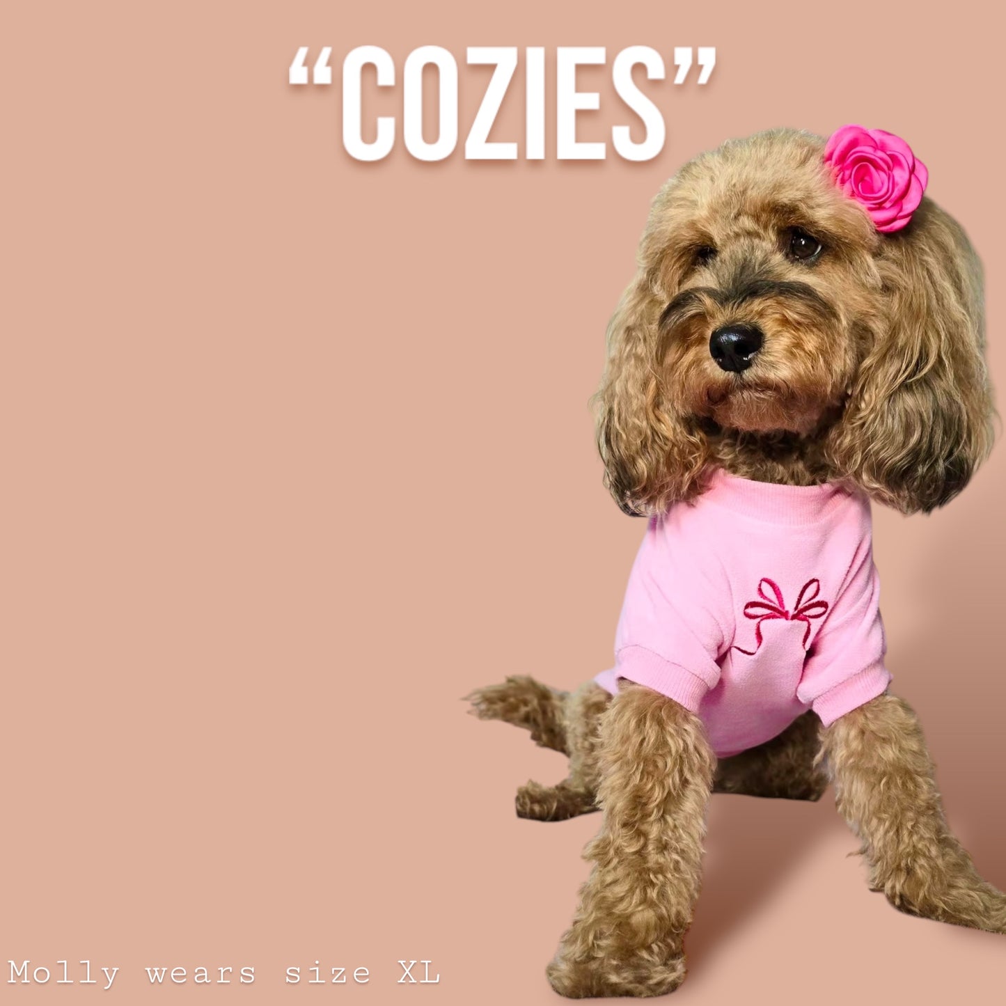 COZIES Fleece Sweatshirt - Pink