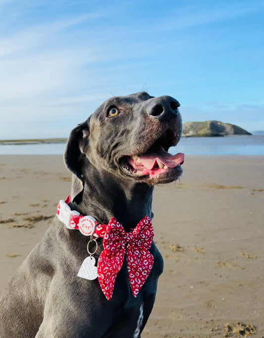 Collar - 'Wildest Dreams - Rouge'