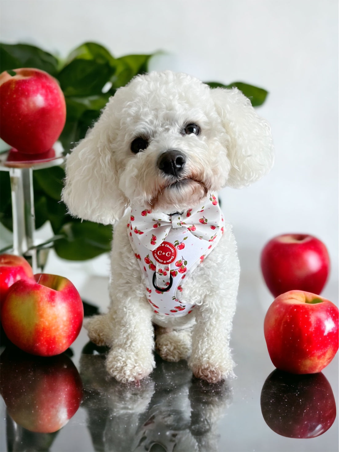 Adjustable Harness - 'Apple Pawtumn Jeans'
