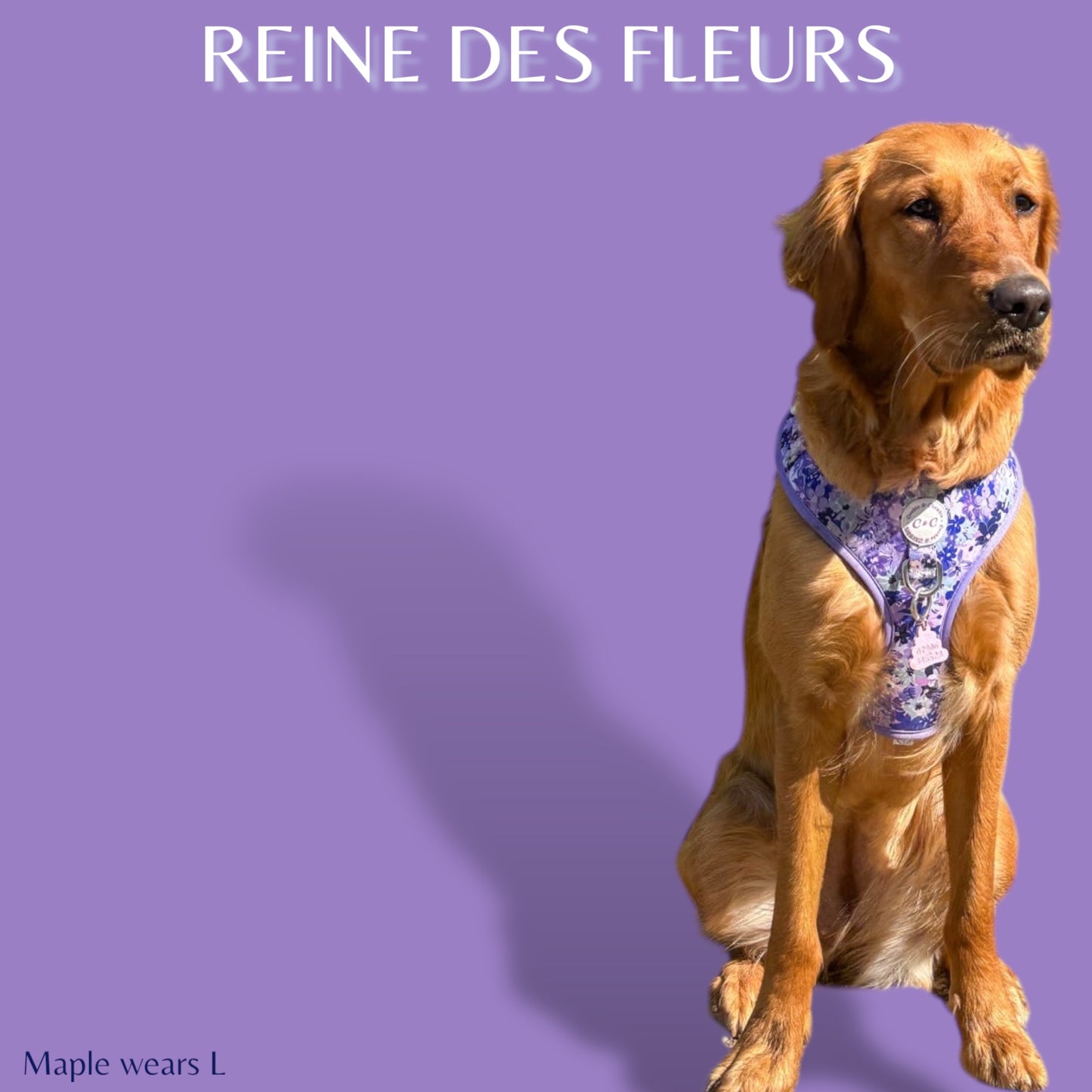 Adjustable Harness - 'Reine des Fleurs'