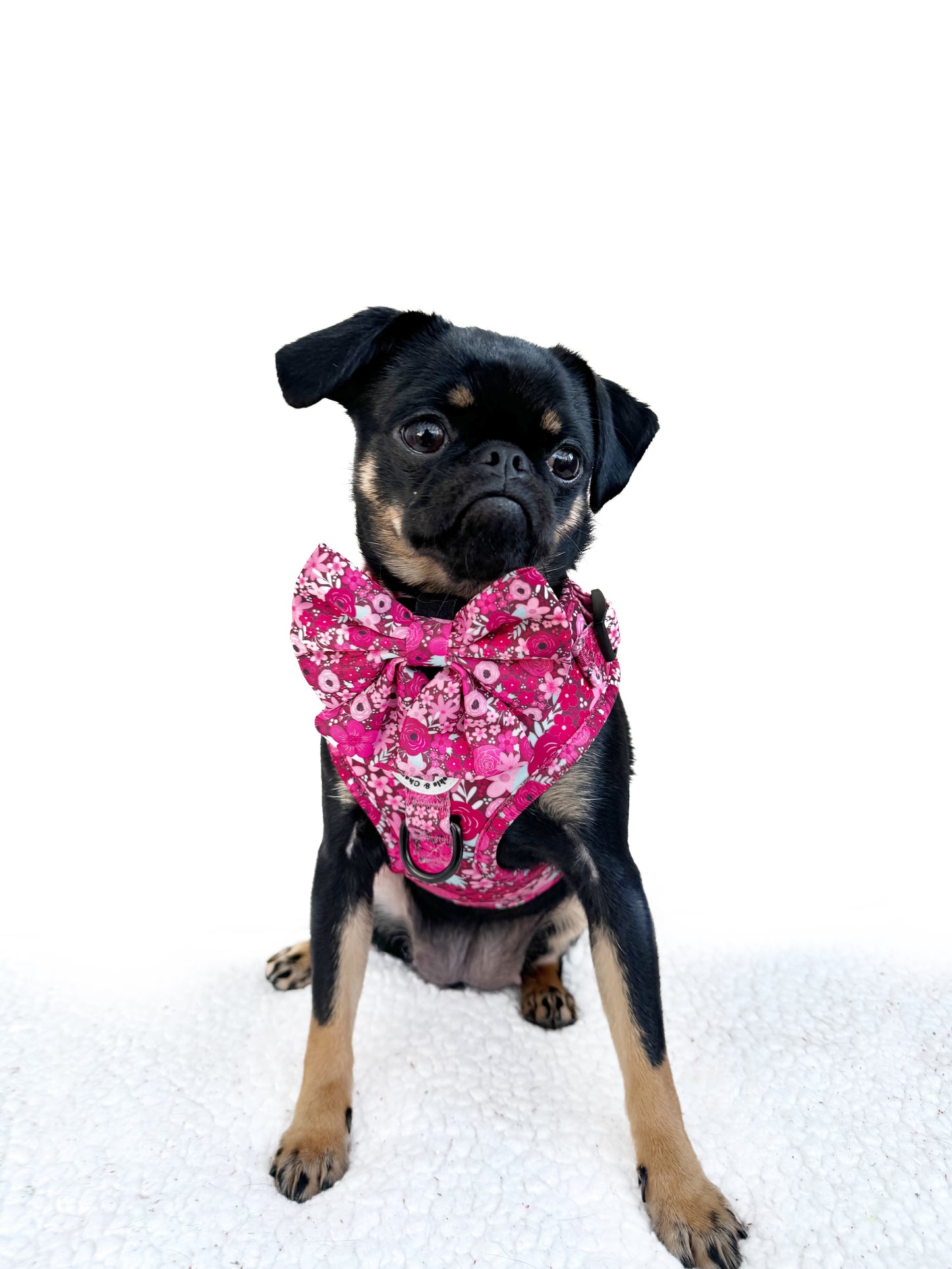 Adjustable Harness - 'On Chewsdays, We Wear Pink'
