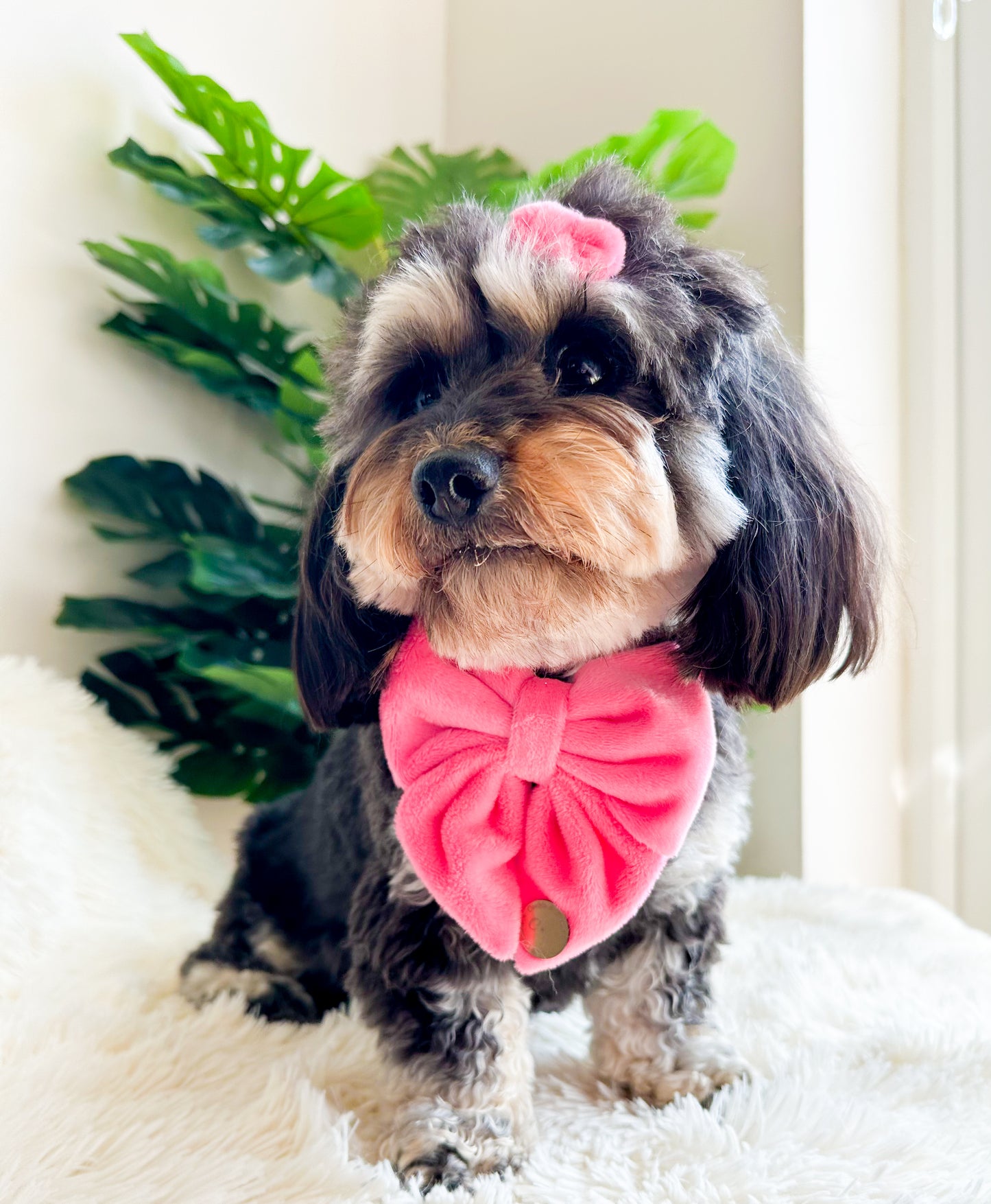 FLUFFIES Sailor Bow - 'Barbie'