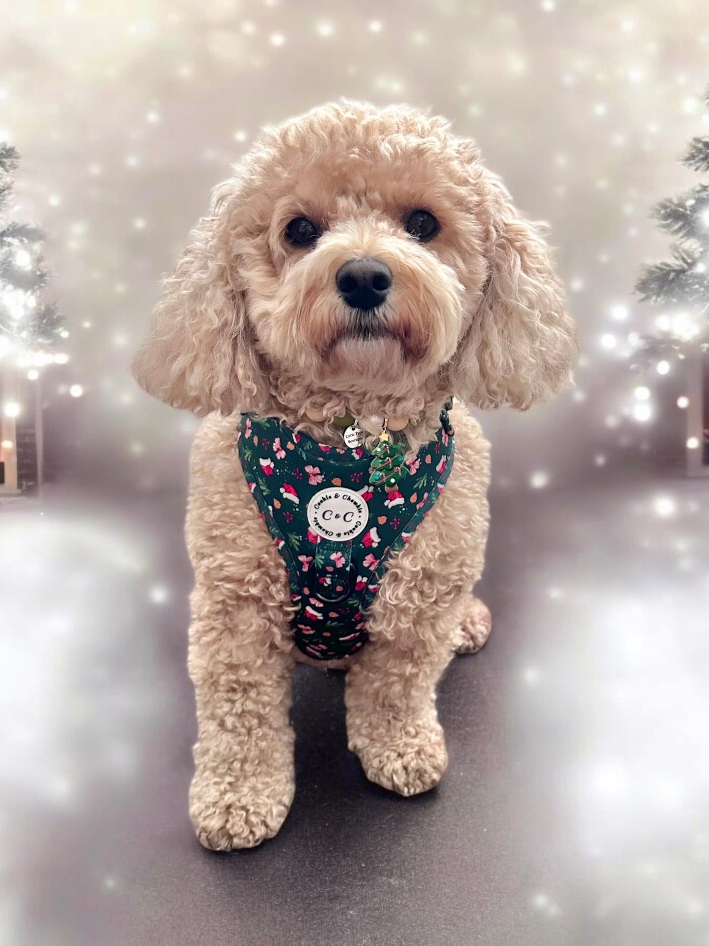 Adjustable Harness - 'Dainty Little Christmas'