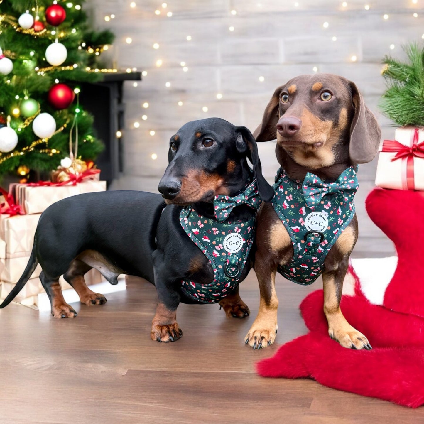 Adjustable Harness - 'Dainty Little Christmas'