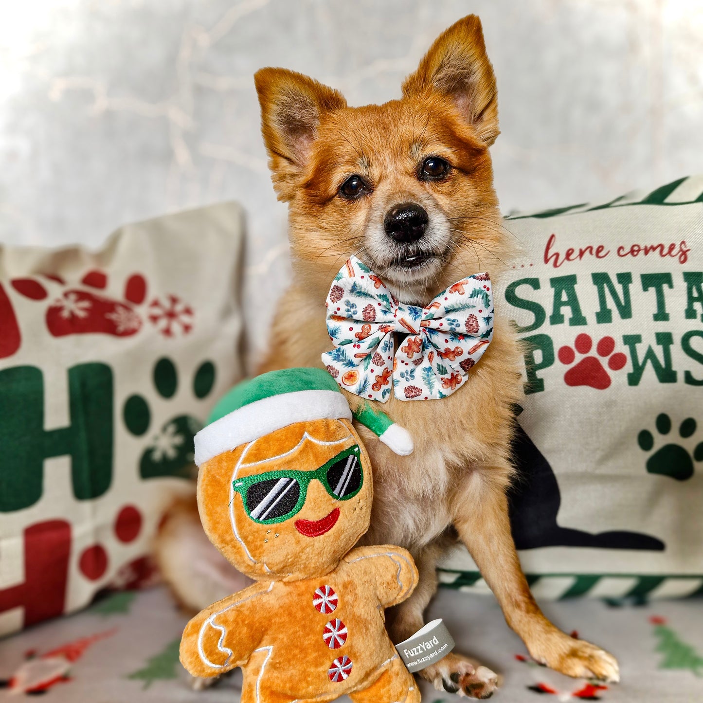 Sailor Bow - 'Festive Pawpourri'