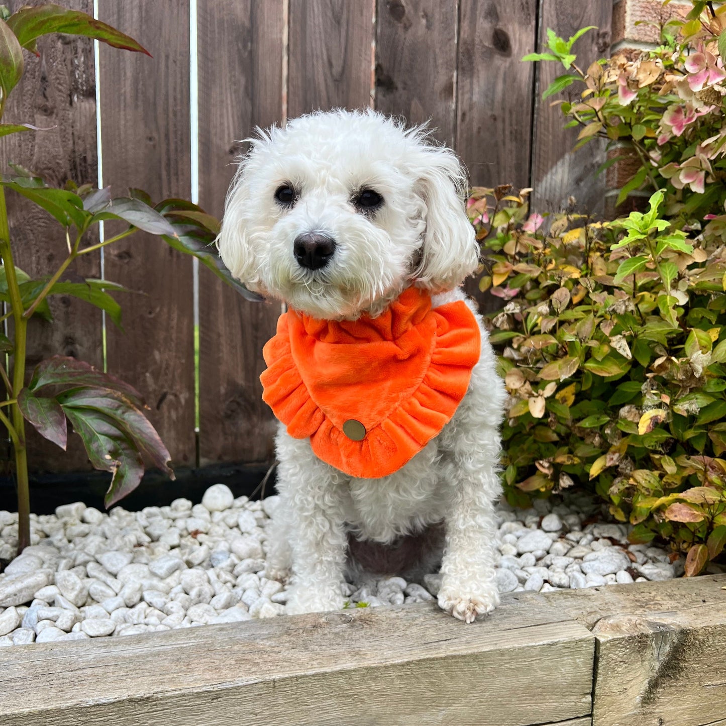 FLUFFIES Bandana - "Cindy"