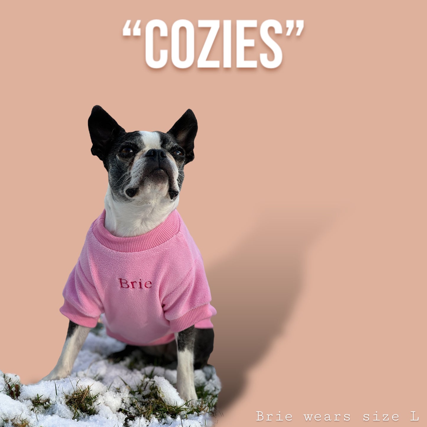 COZIES Fleece Sweatshirt - Pink