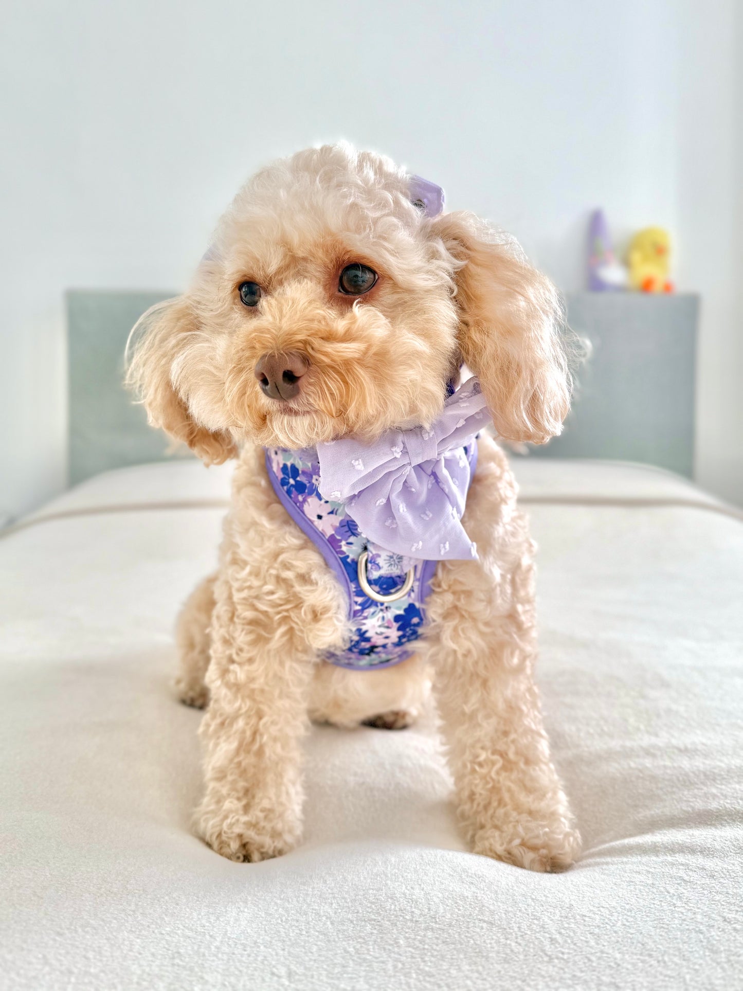 DAINTIES Sailor Bow - 'Lilac'