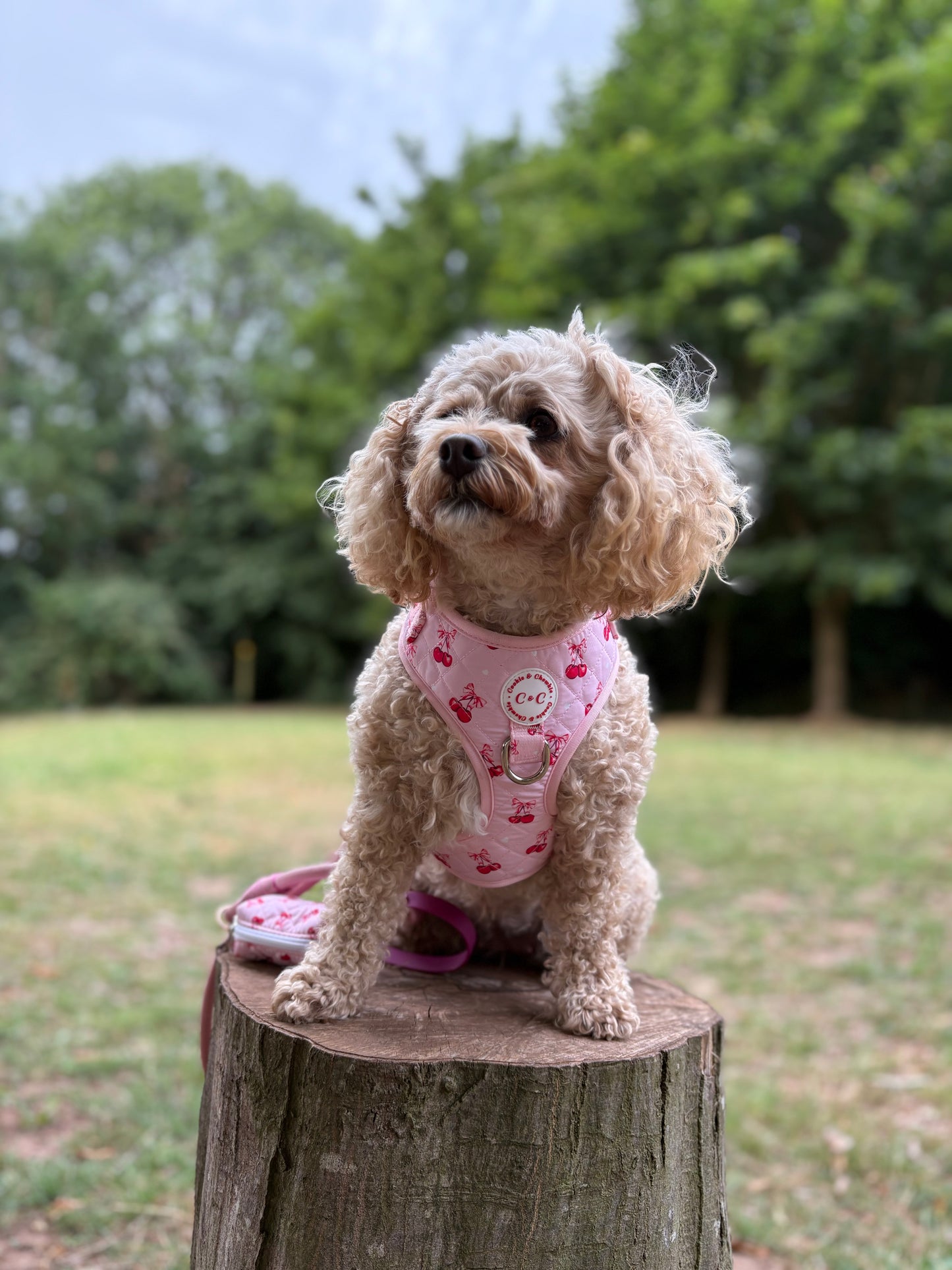 Adjustable Quilted Harness - 'Chérie Amour'