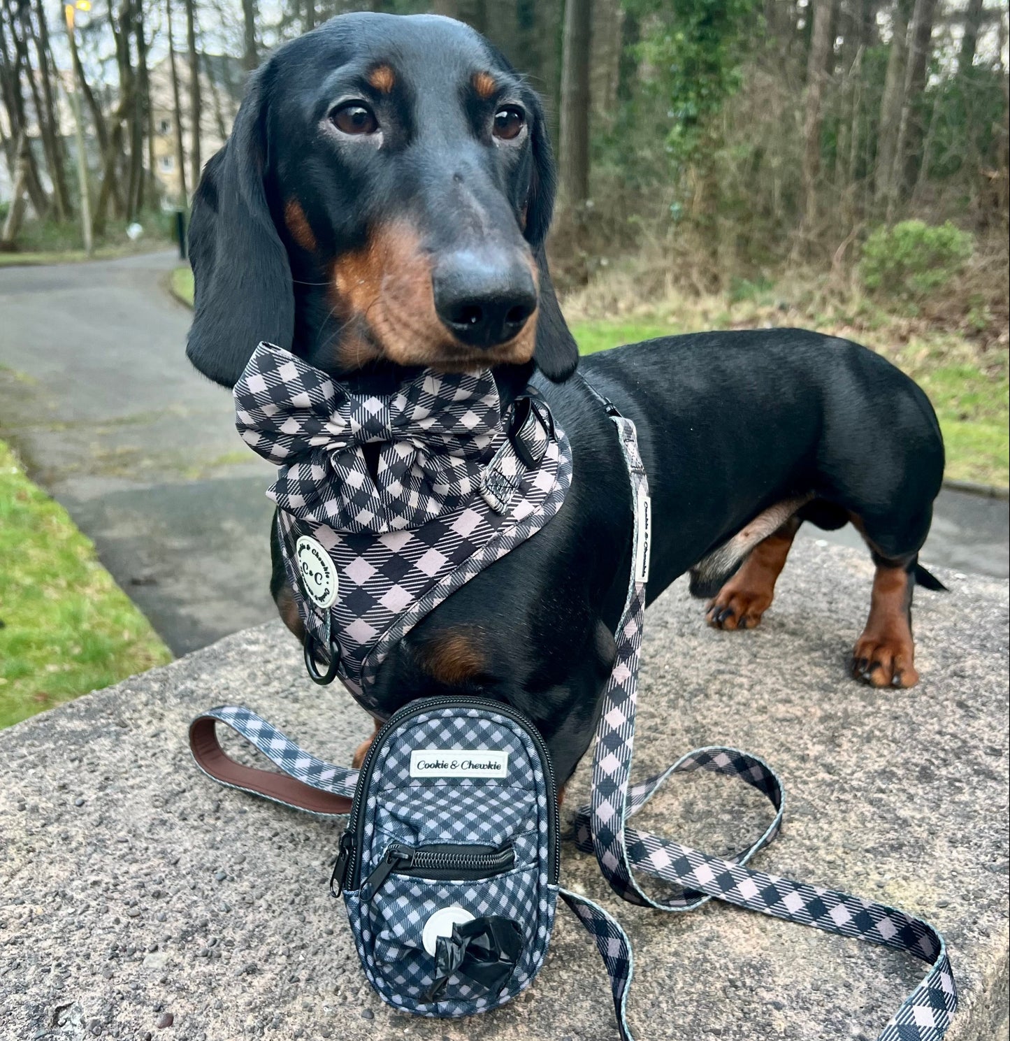 Treat Pouch - Livin' la Vida Mocha