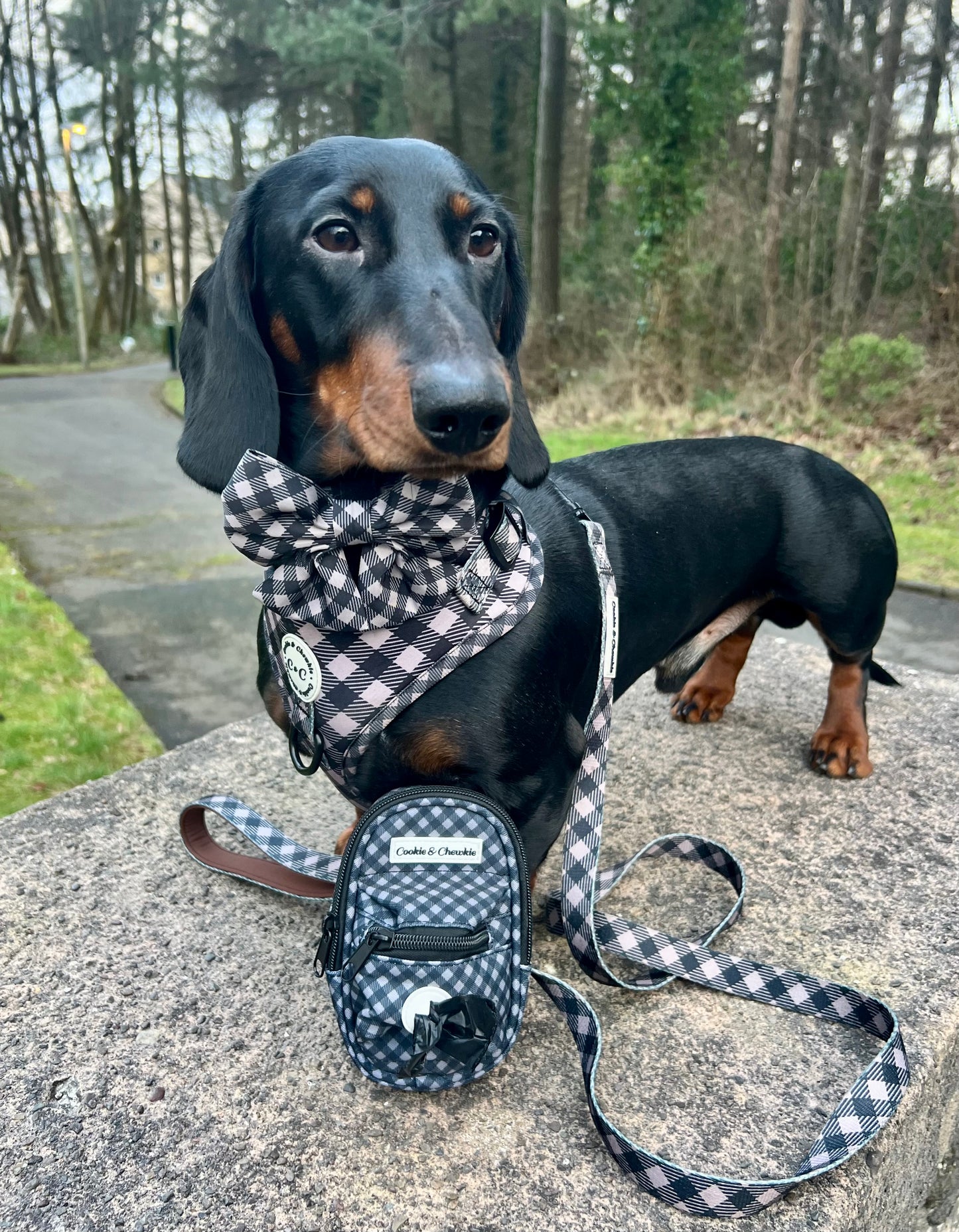 Treat Pouch - Livin' la Vida Mocha