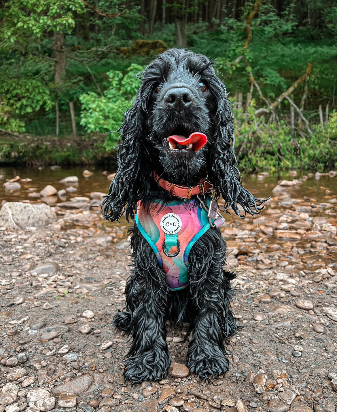Adjustable harness - 'Colours of the Wind'