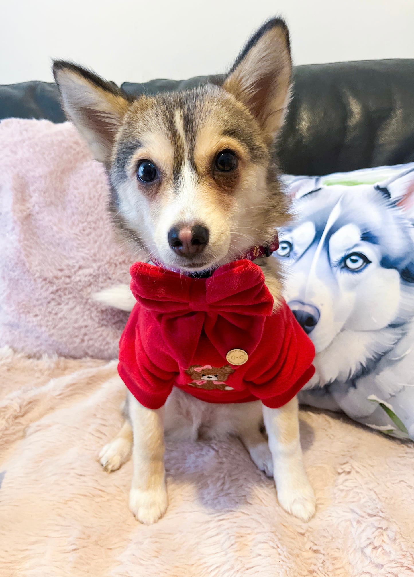 COZIES Fleece Sweatshirt - Red