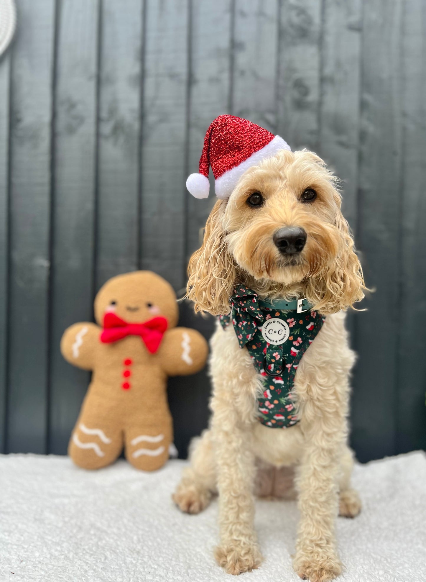Adjustable Harness - 'Dainty Little Christmas'