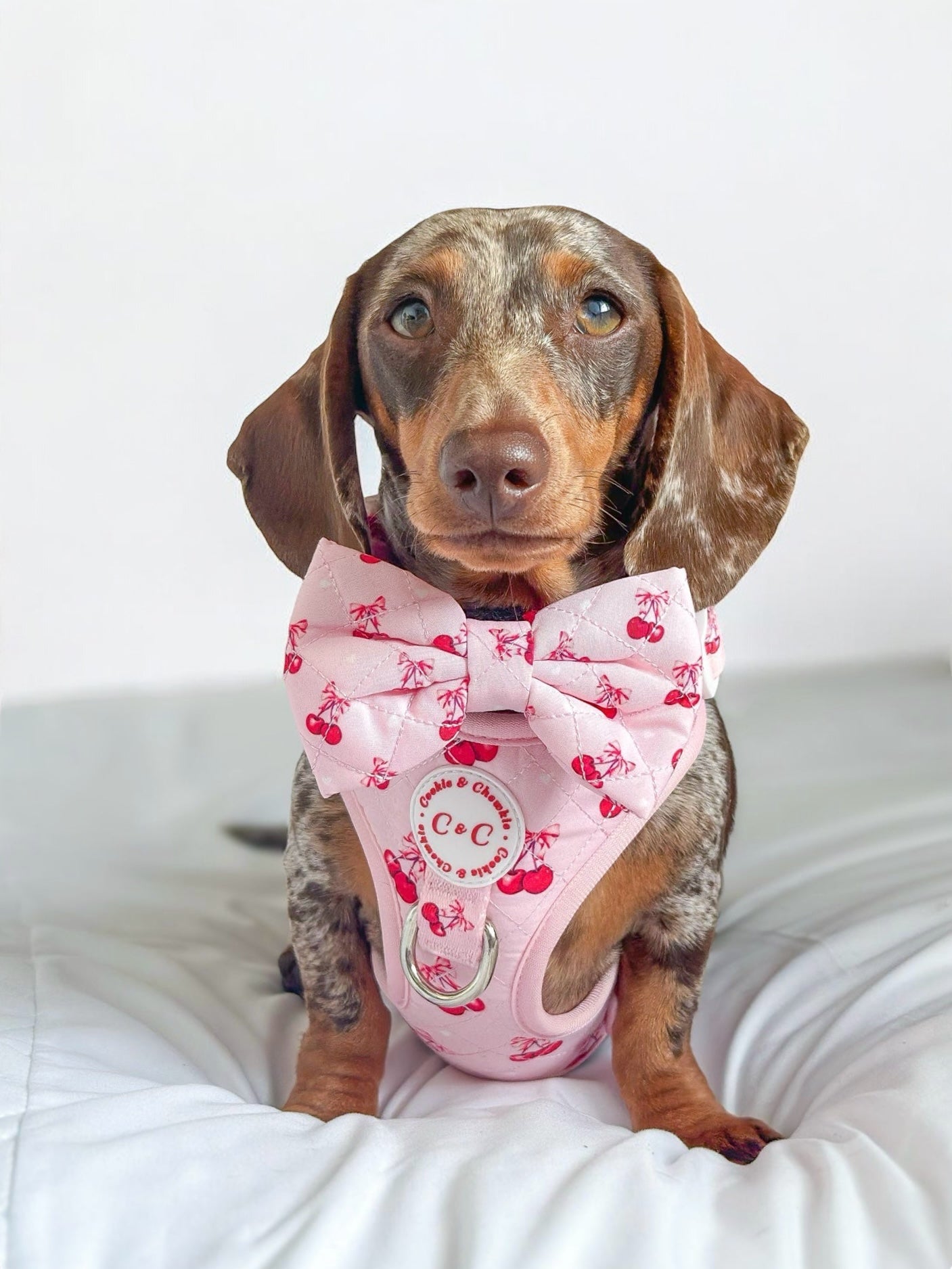 Bow Tie - 'Chérie Amour'