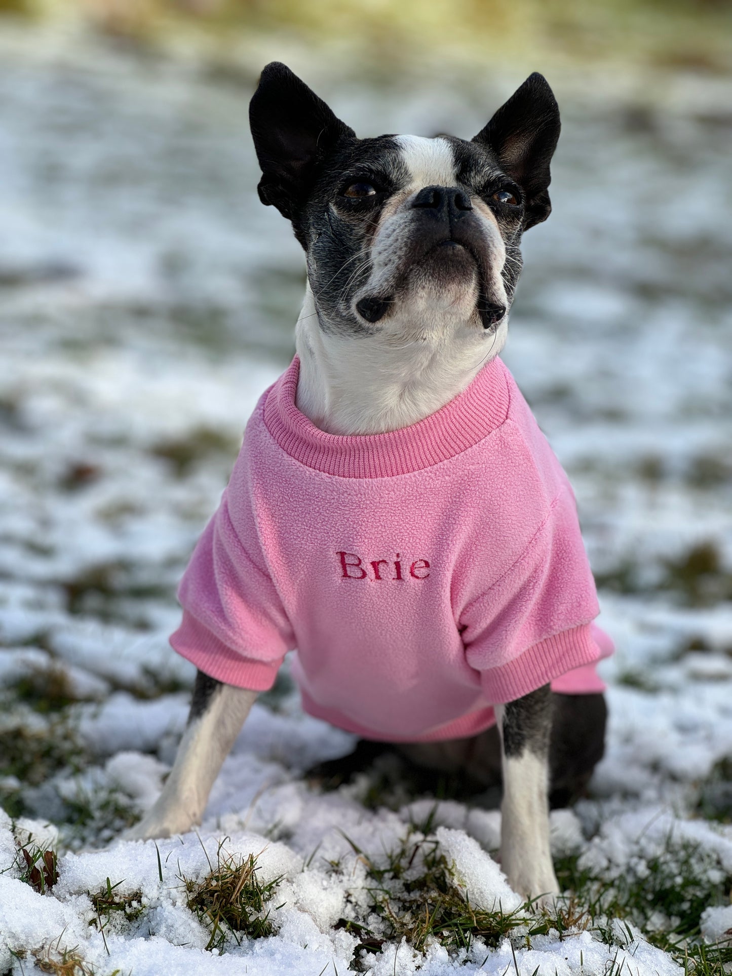 COZIES Fleece Sweatshirt - Pink