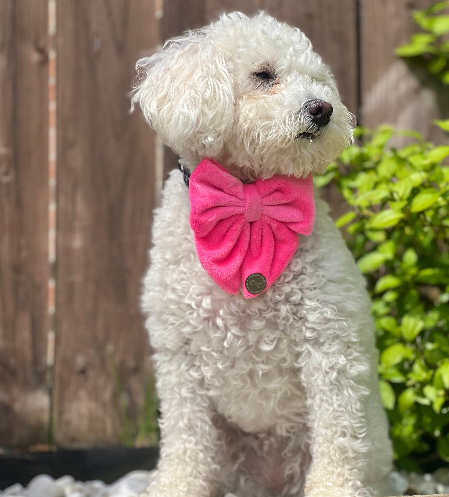 FLUFFIES Sailor Bow - 'Barbie'