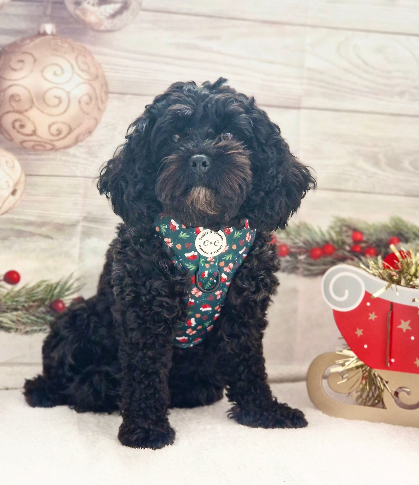 Adjustable Harness - 'Dainty Little Christmas'