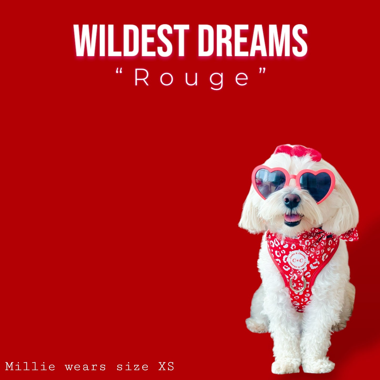 Adjustable Harness - 'Wildest Dreams - Rouge'