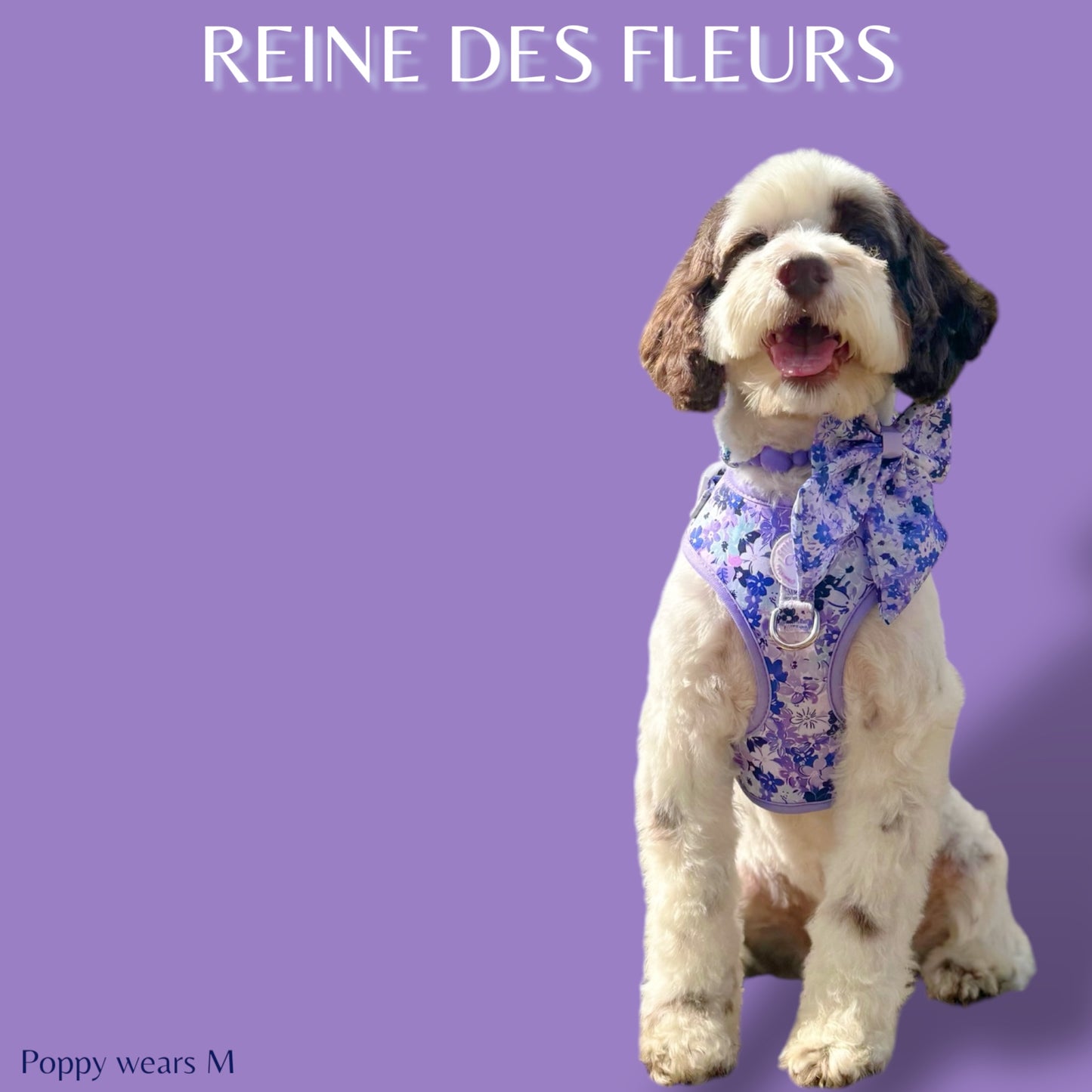 Adjustable Harness - 'Reine des Fleurs'