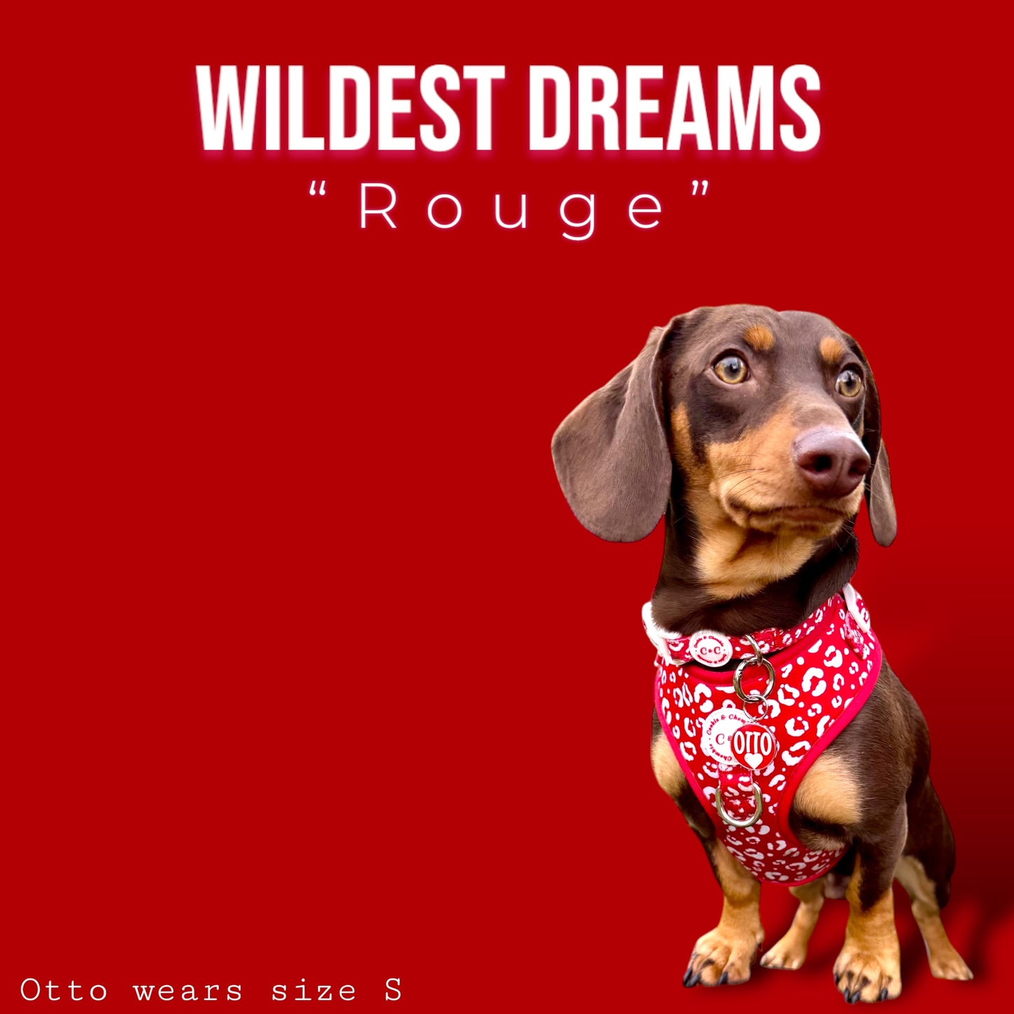 Adjustable Harness - 'Wildest Dreams - Rouge'