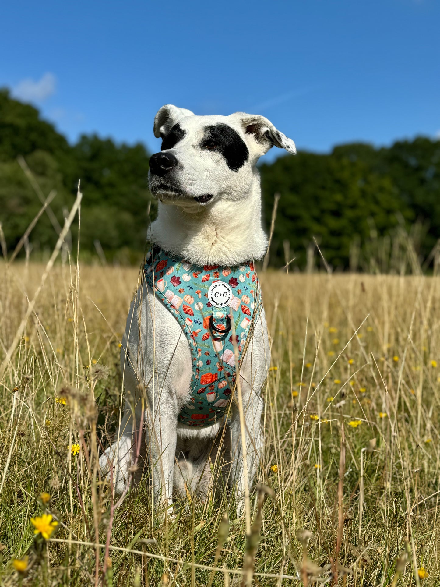 Adjustable Harness - 'Once Upon An Autumn'
