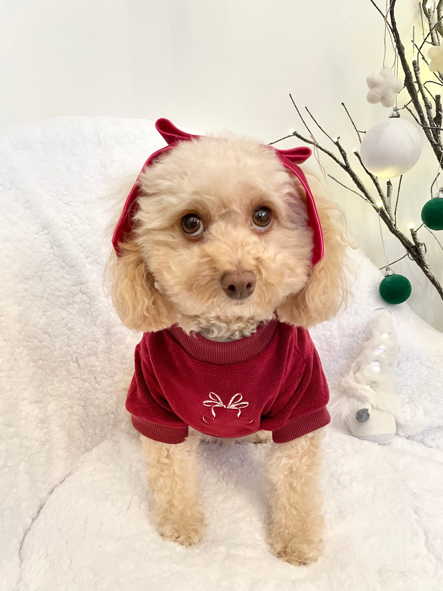 COZIES Fleece Sweatshirt - Burgundy