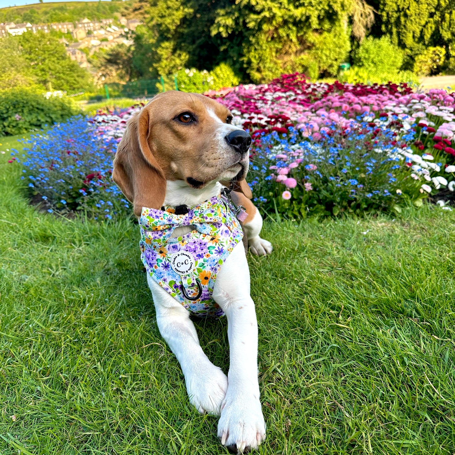 Adjustable harness - 'Once Upon A Flower'