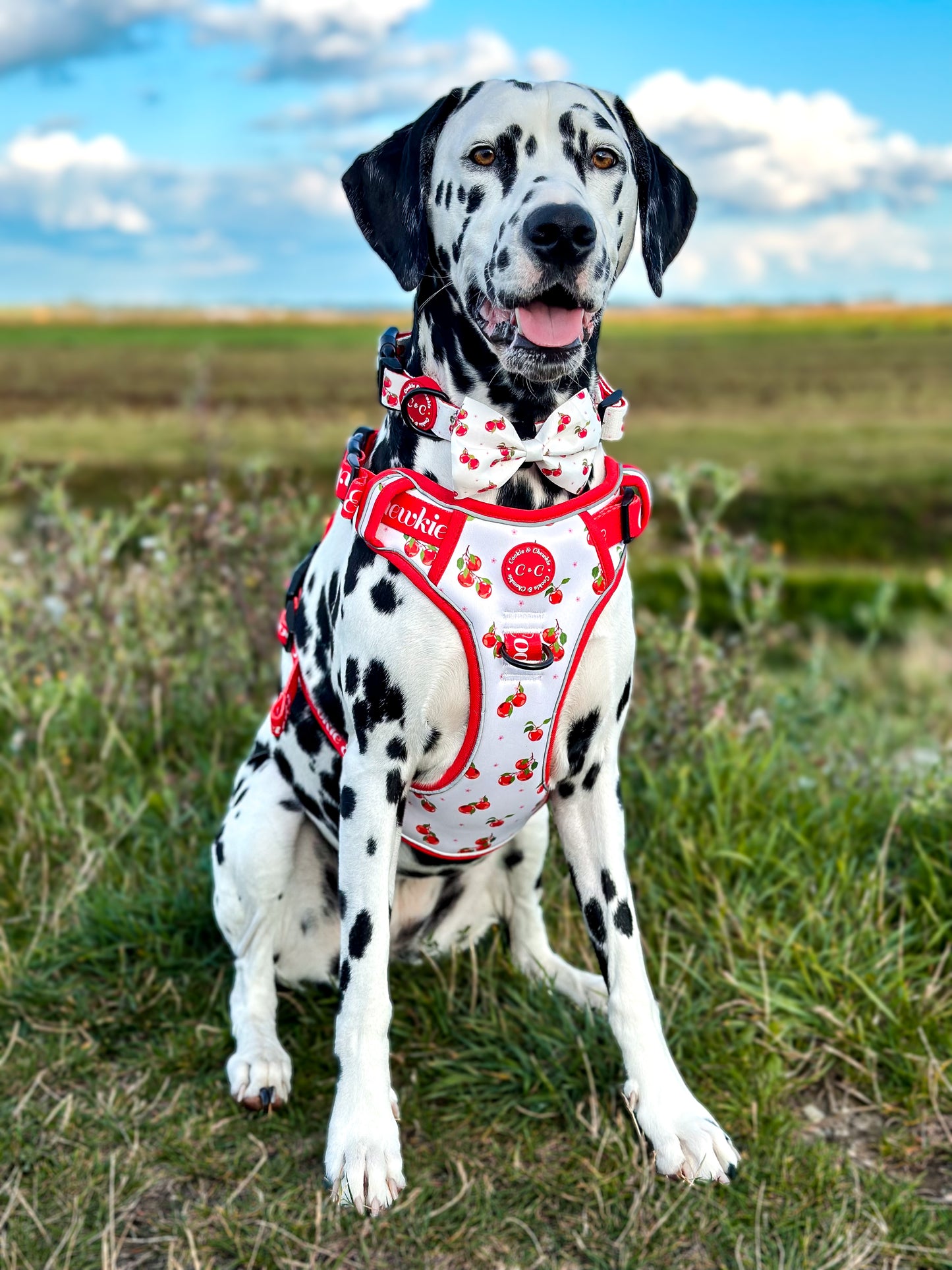 Adjustable TUFF Harness - 'Apple Pawtumn Jeans'