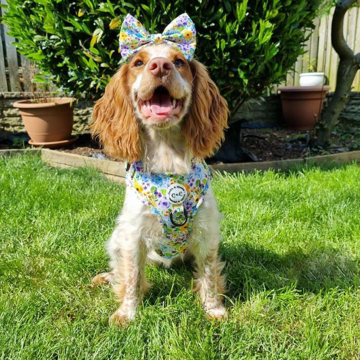 Bow Tie - 'Once Upon A Flower'