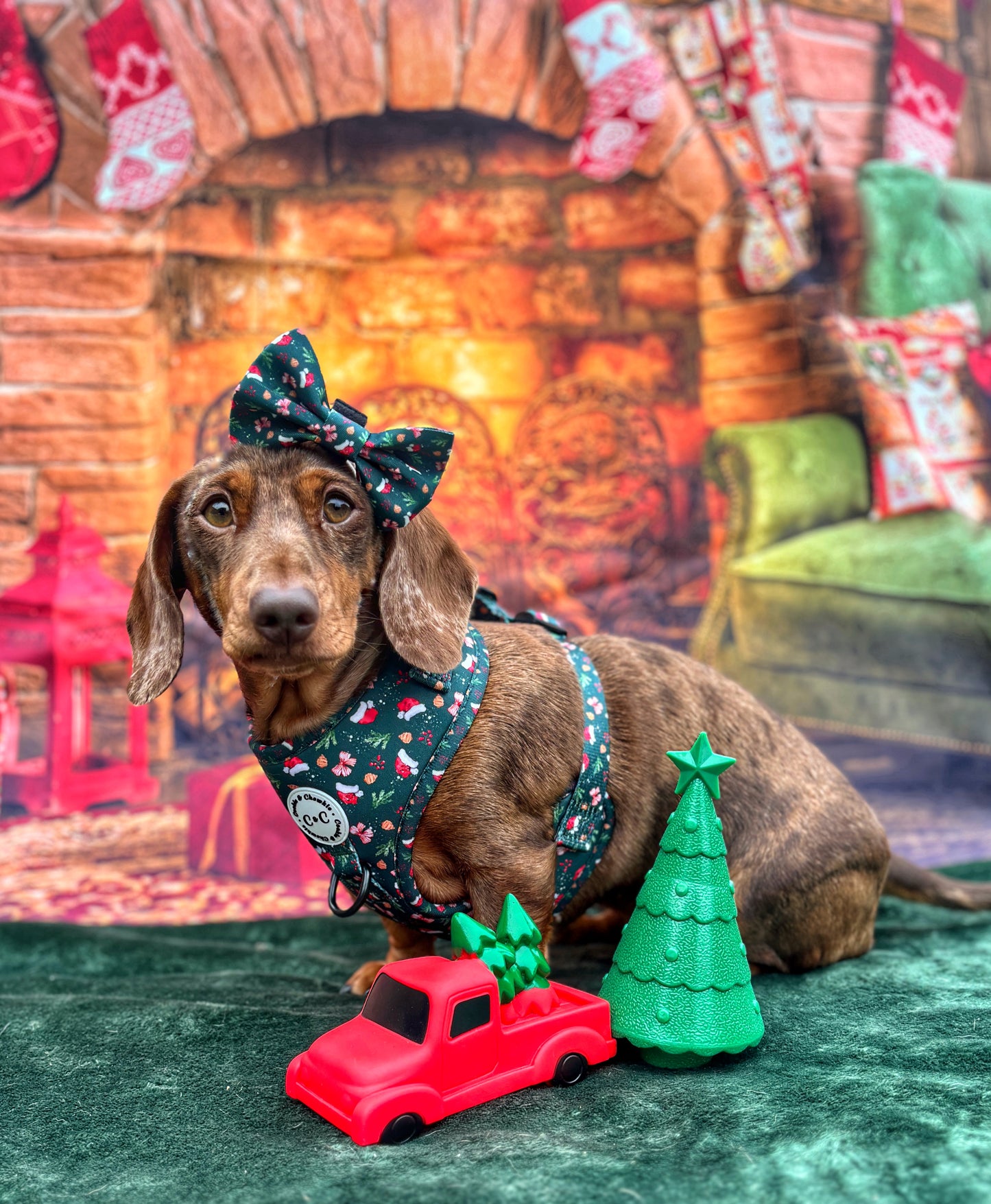 Bow Tie - 'Dainty Little Christmas'