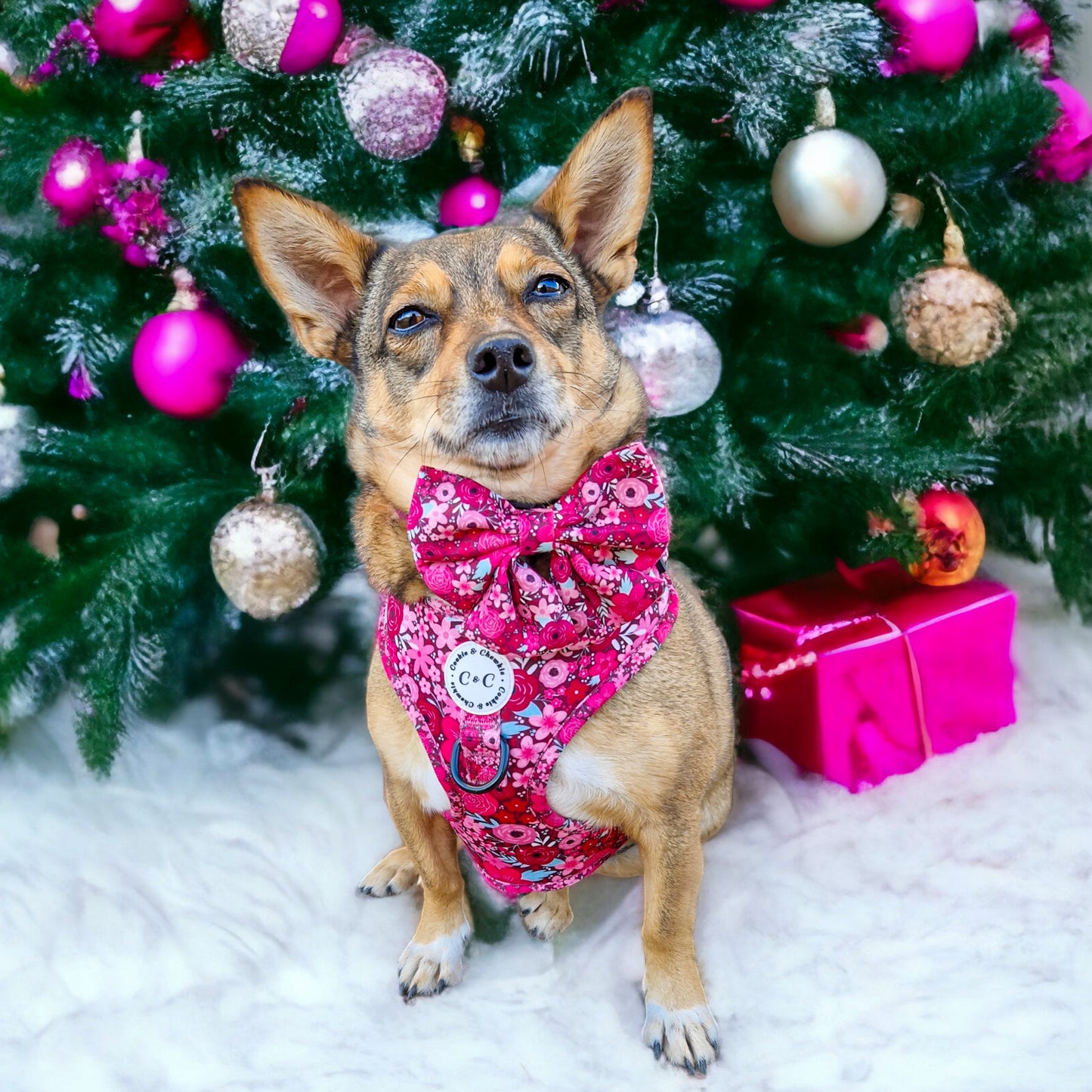 Adjustable Harness - 'On Chewsdays, We Wear Pink'