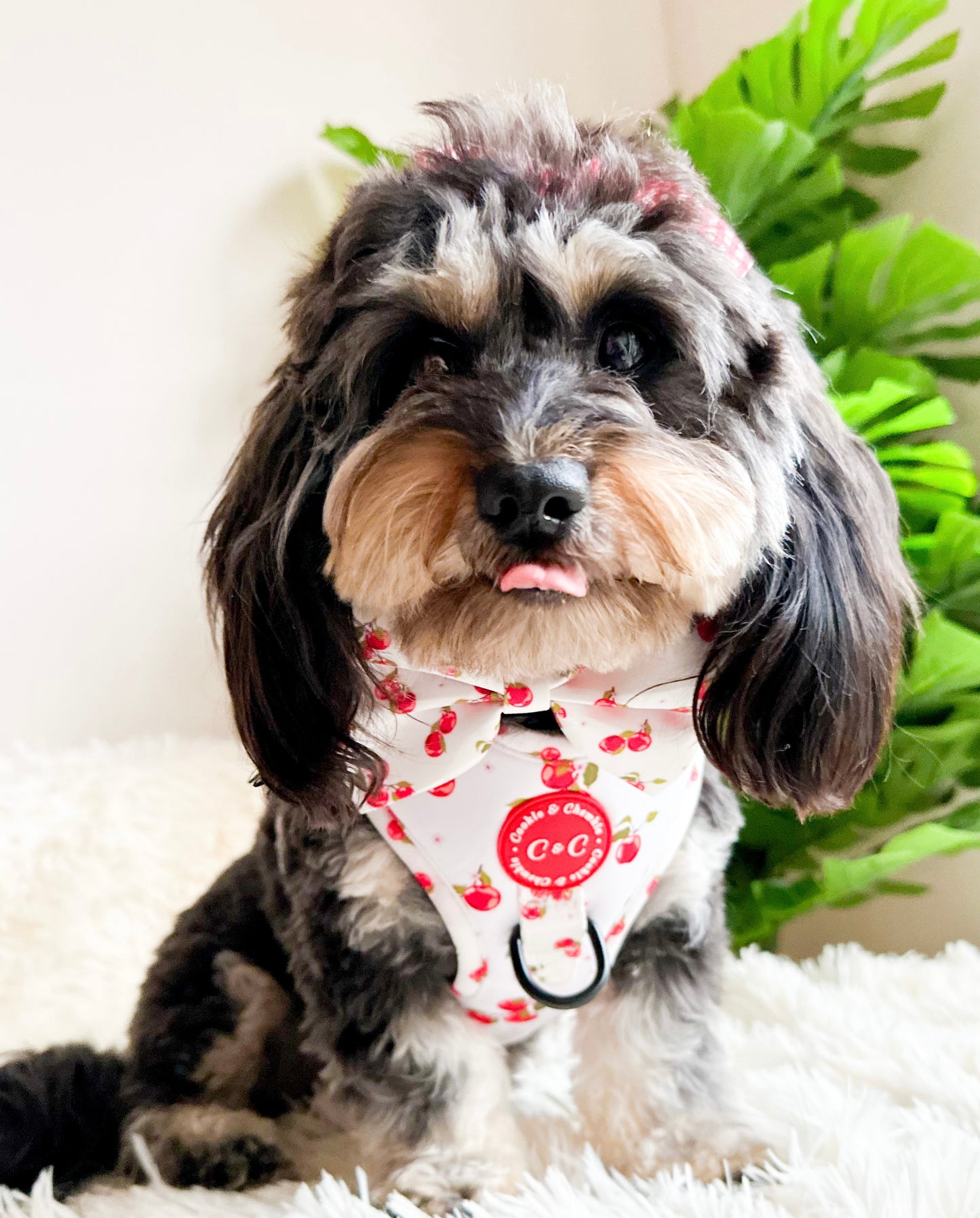 Adjustable Harness - 'Apple Pawtumn Jeans'