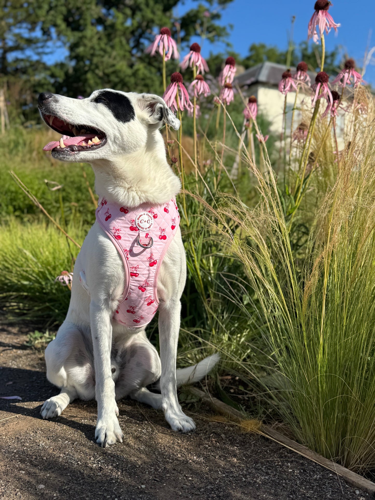 Adjustable Quilted Harness - 'Chérie Amour'
