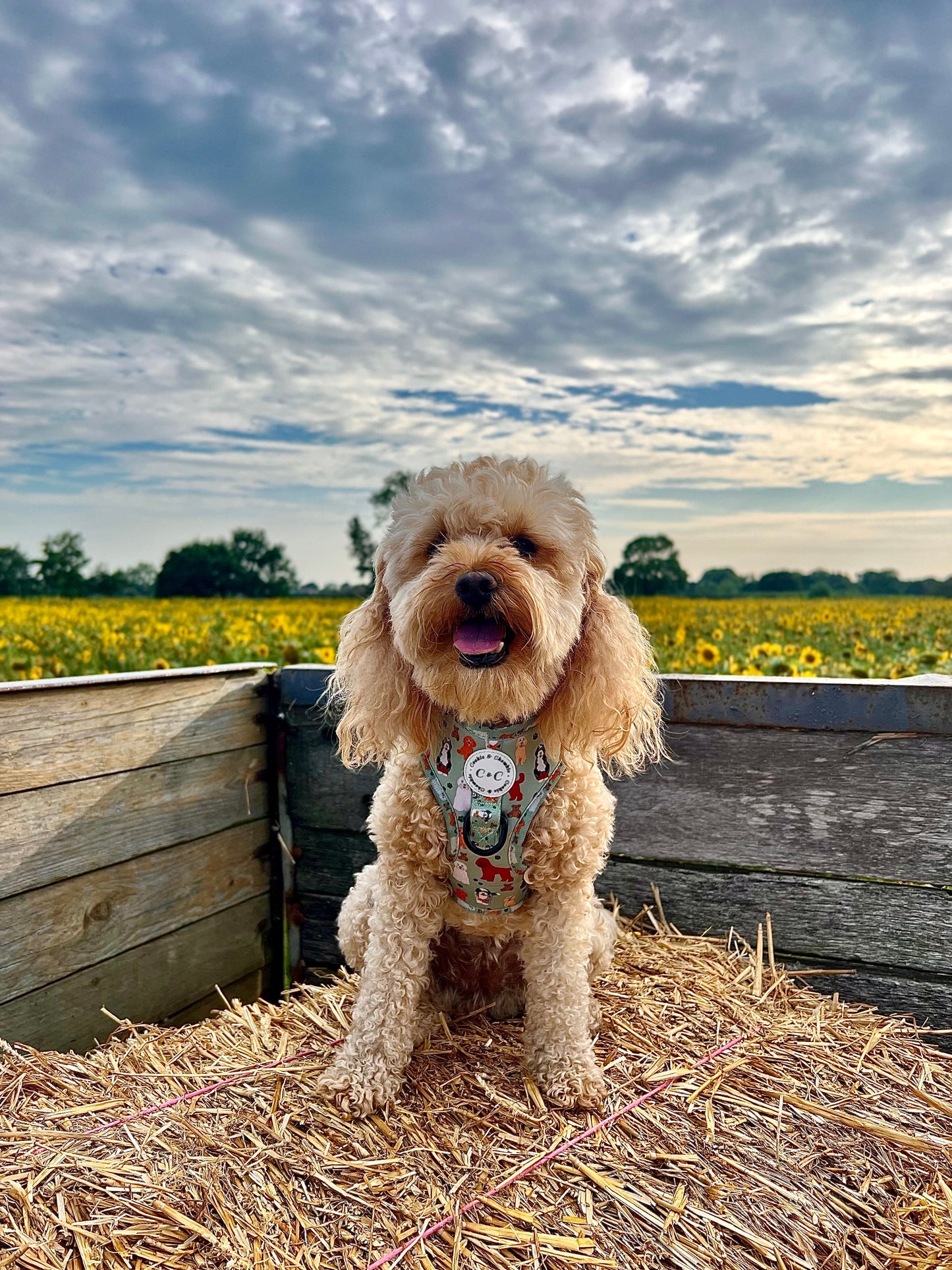 Adjustable Harness - 'Doodle Tales'