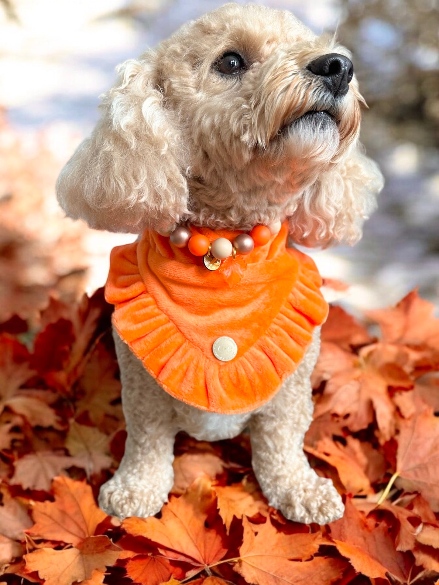 FLUFFIES Bandana - "Cindy"