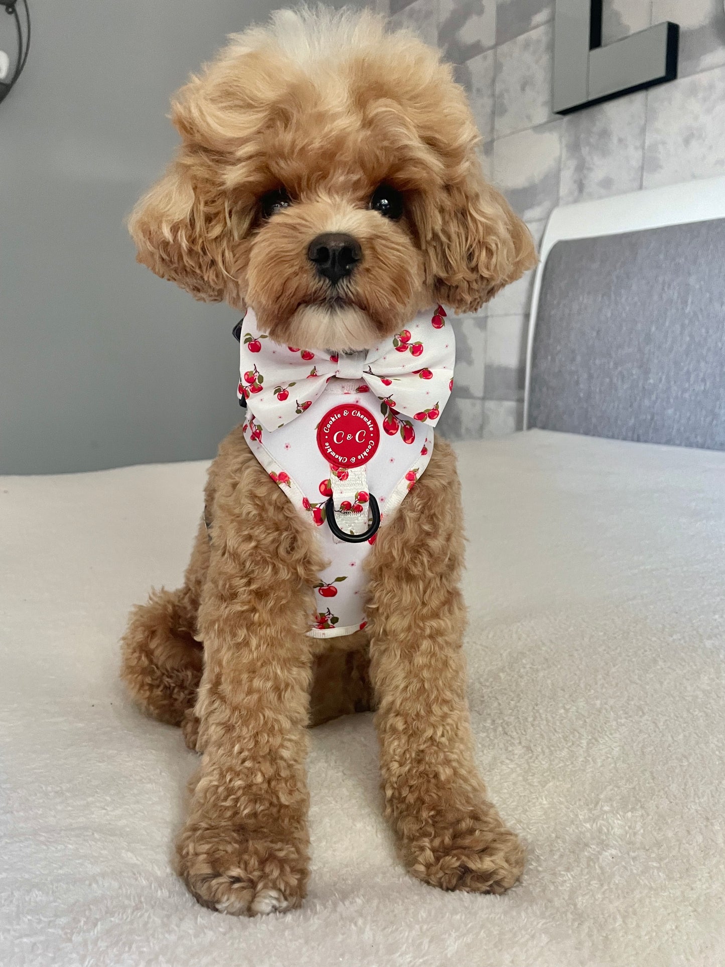 Poop Bag Holder – ‘Apple Pawtumn Jeans’