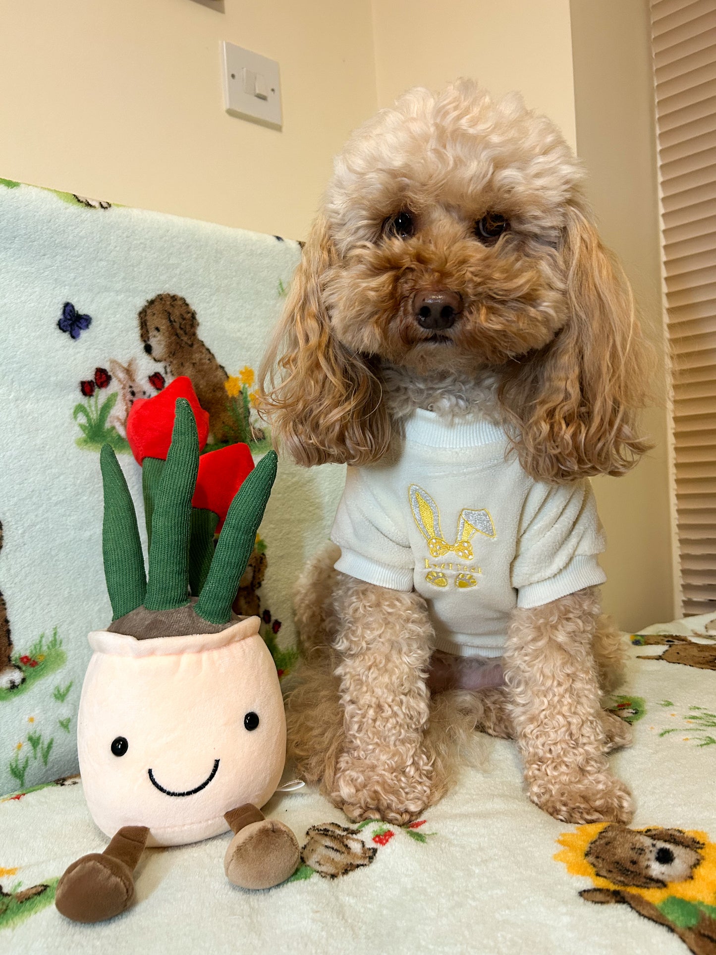COZIES Fleece Sweatshirt - Cream