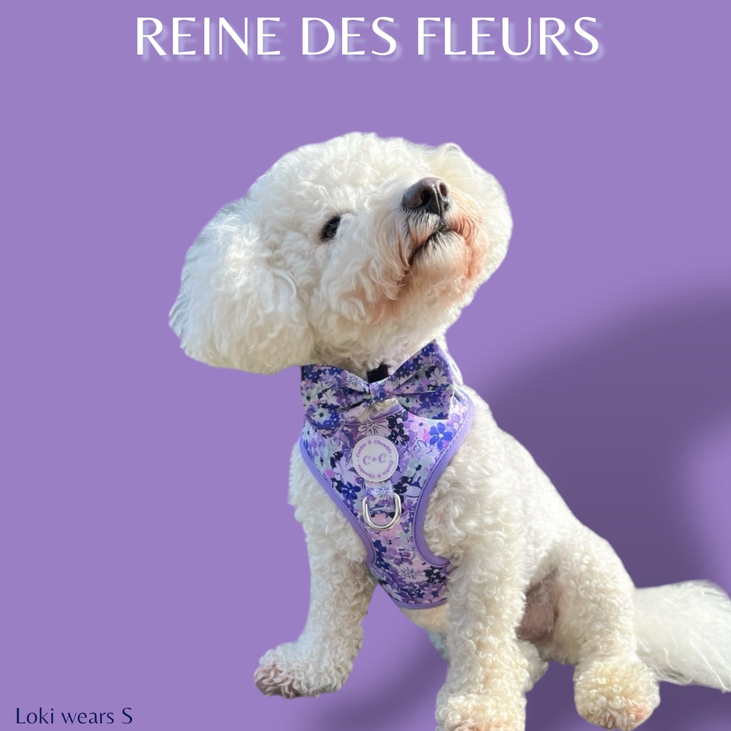 Adjustable Harness - 'Reine des Fleurs'