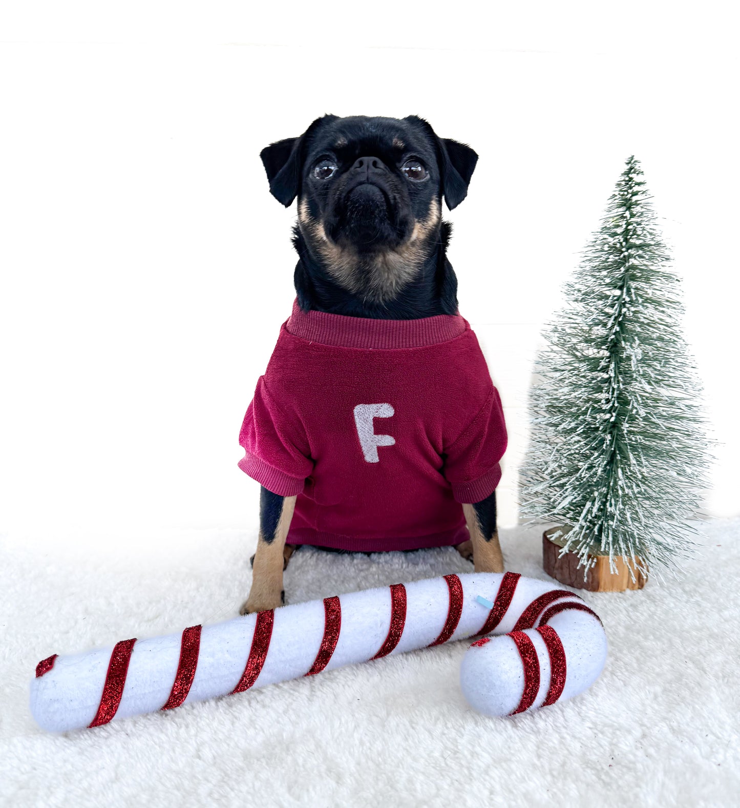 COZIES Fleece Sweatshirt - Burgundy