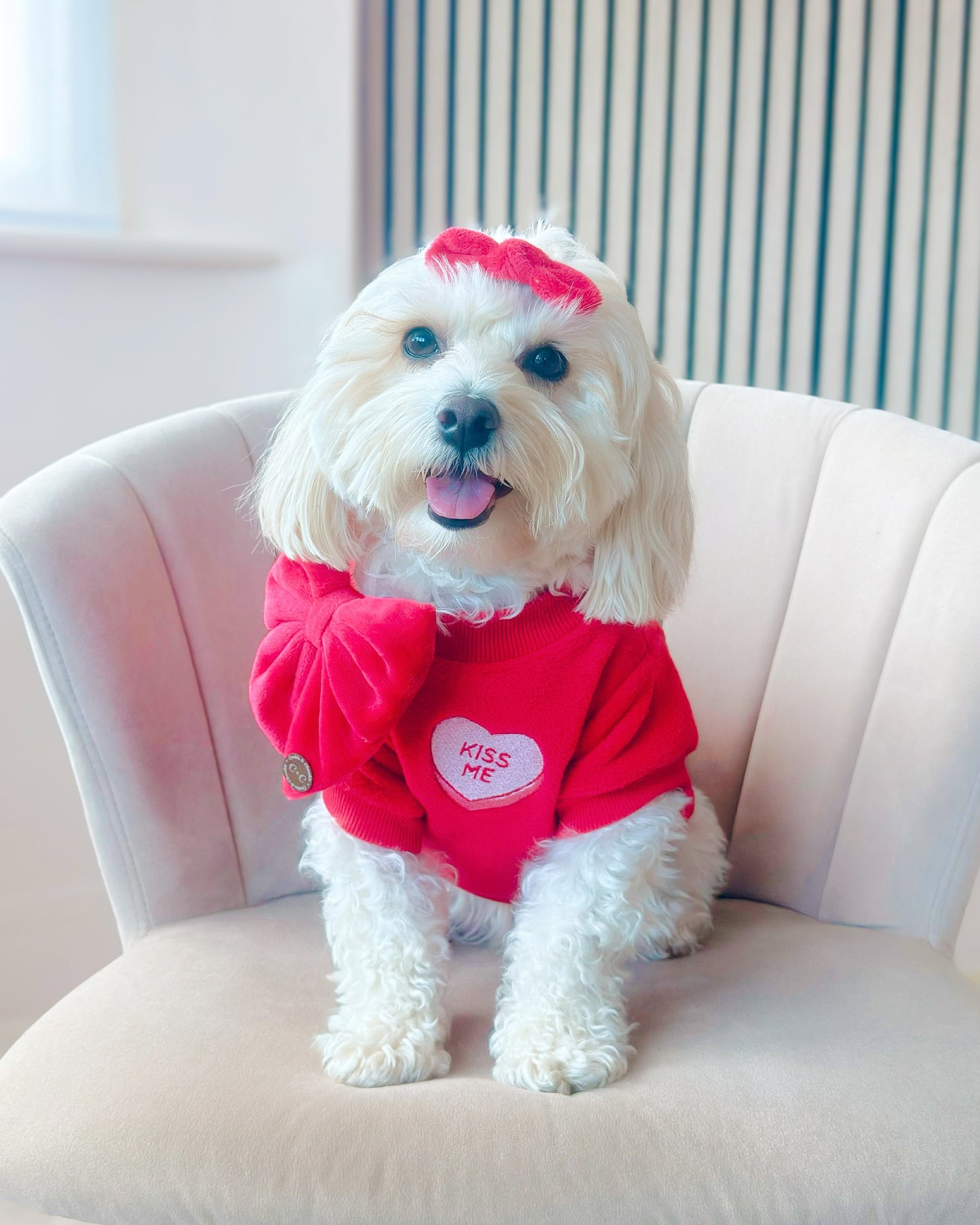 COZIES Fleece Sweatshirt - Red