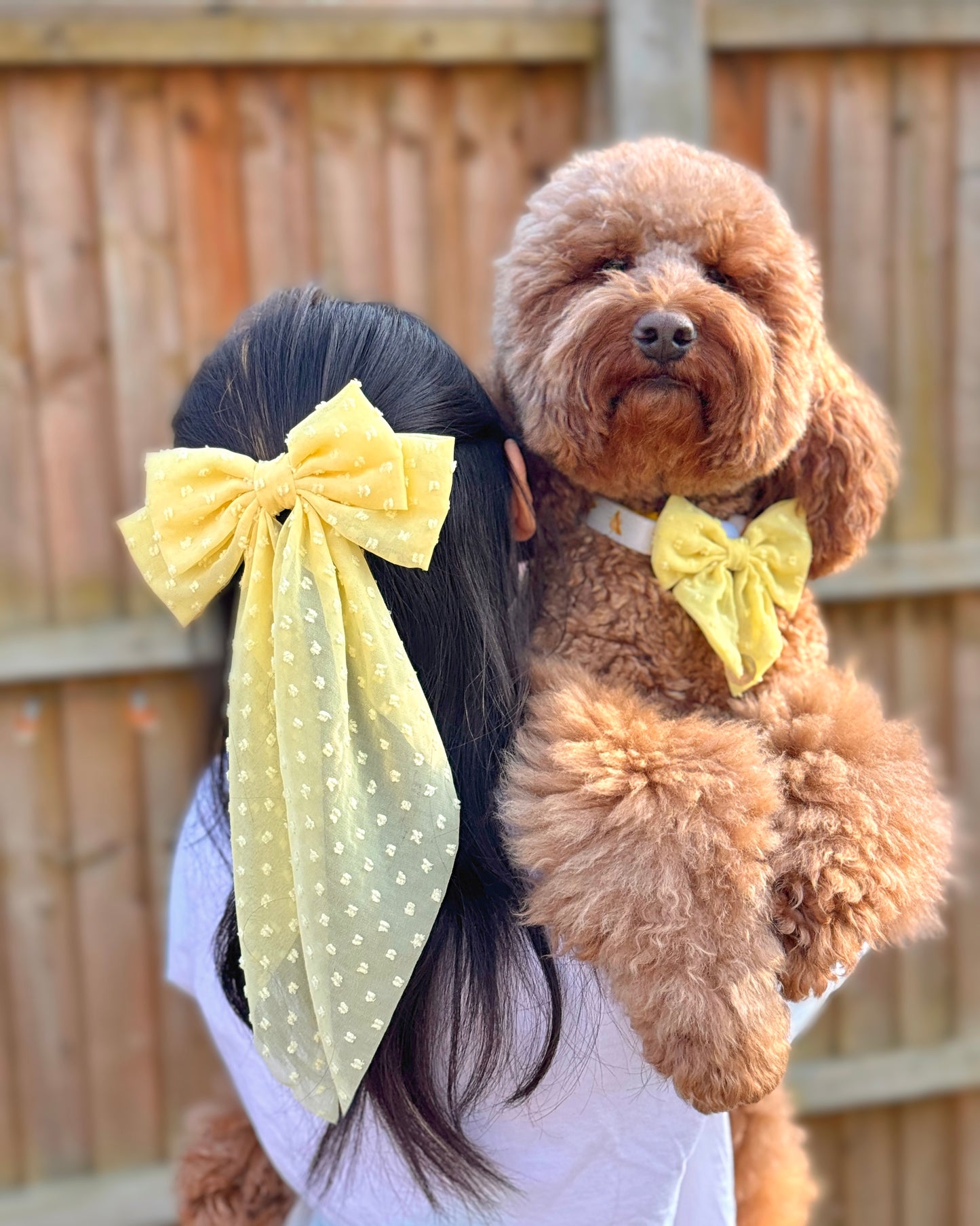 DAINTIES Human Hair Bow - 'Sunny'