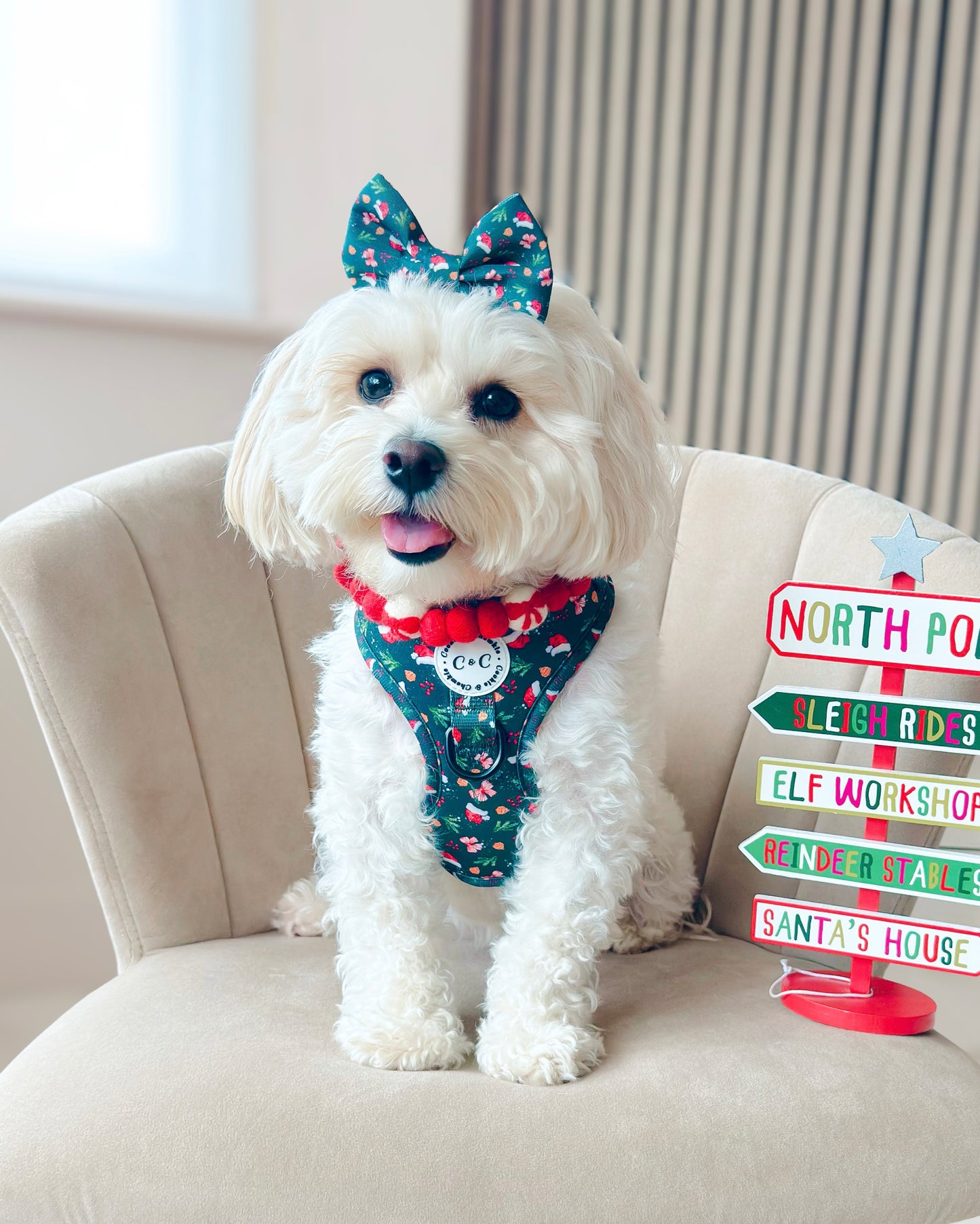 Bow Tie - 'Dainty Little Christmas'